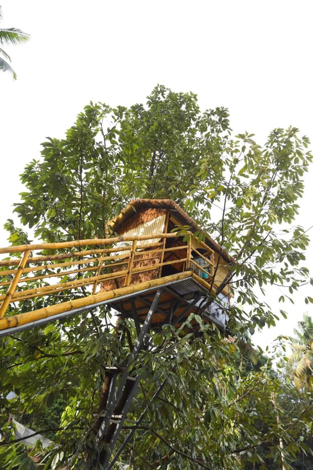 Garden in Karingens Resort