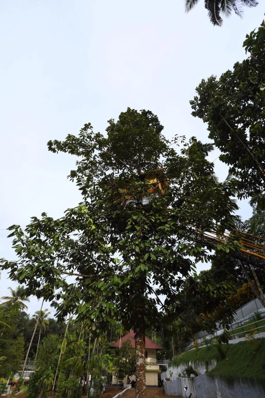 Garden in Karingens Resort