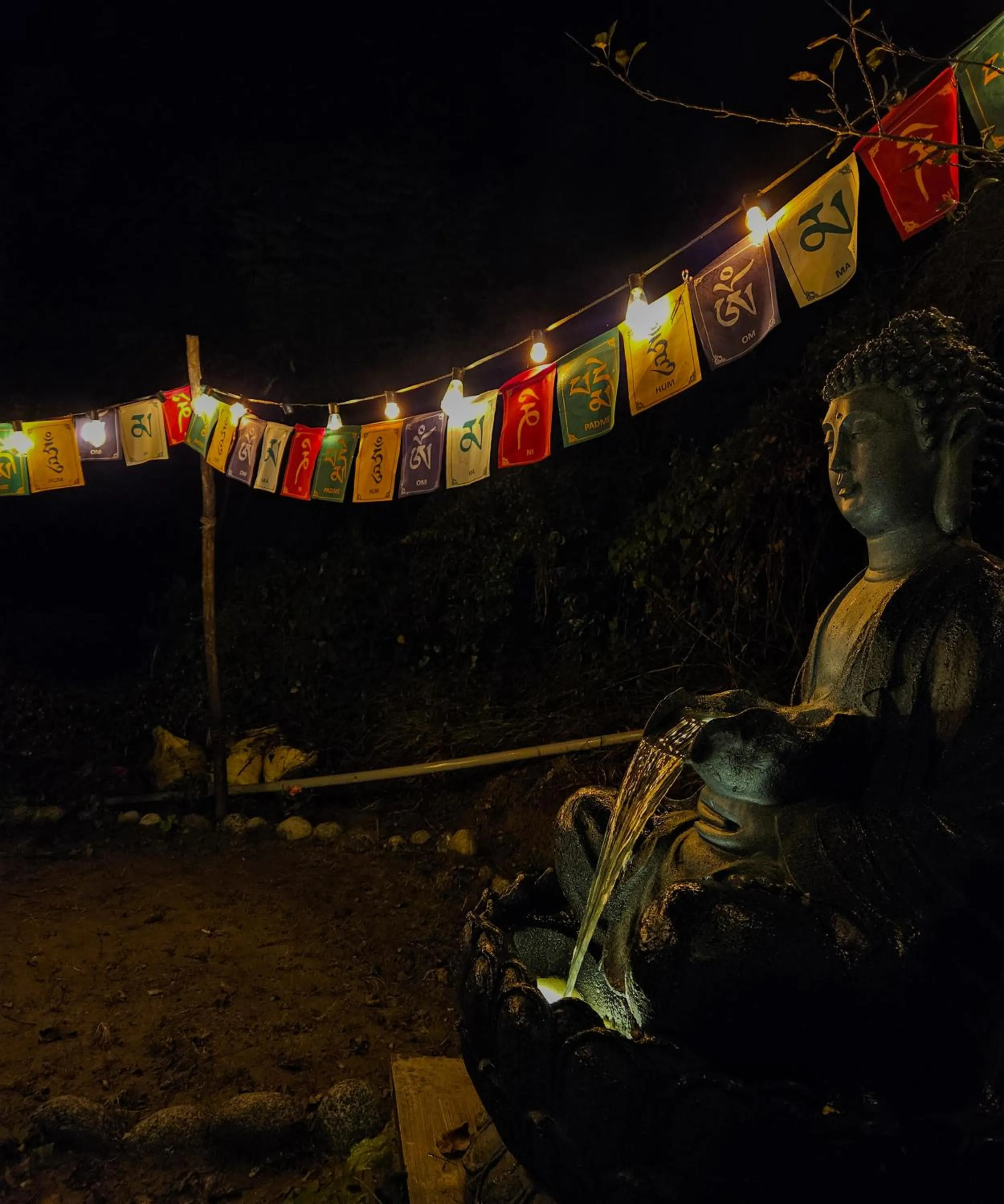 Night in PREMALYA TRAILS By Tirtha