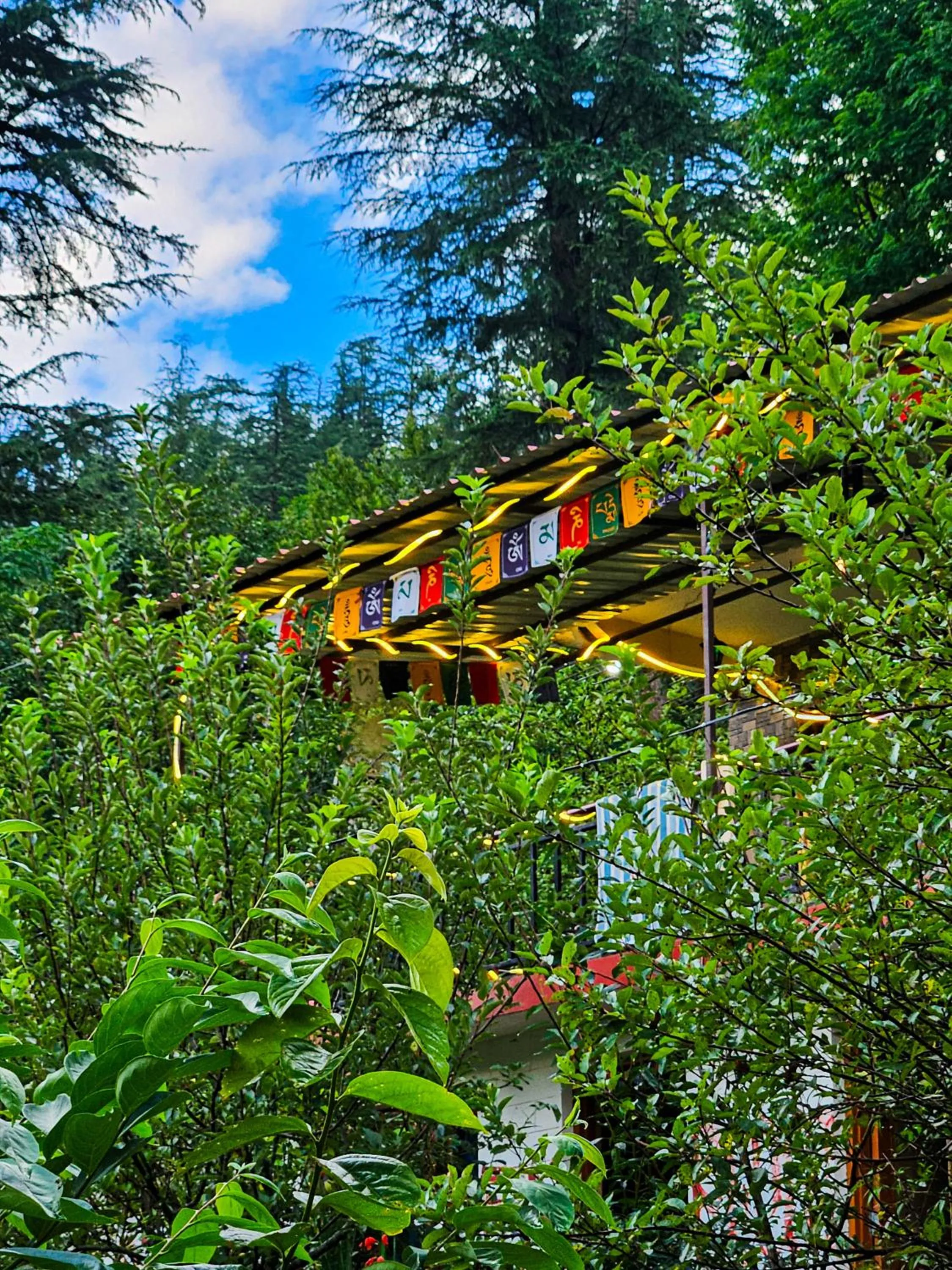 Spring in PREMALYA TRAILS By Tirtha