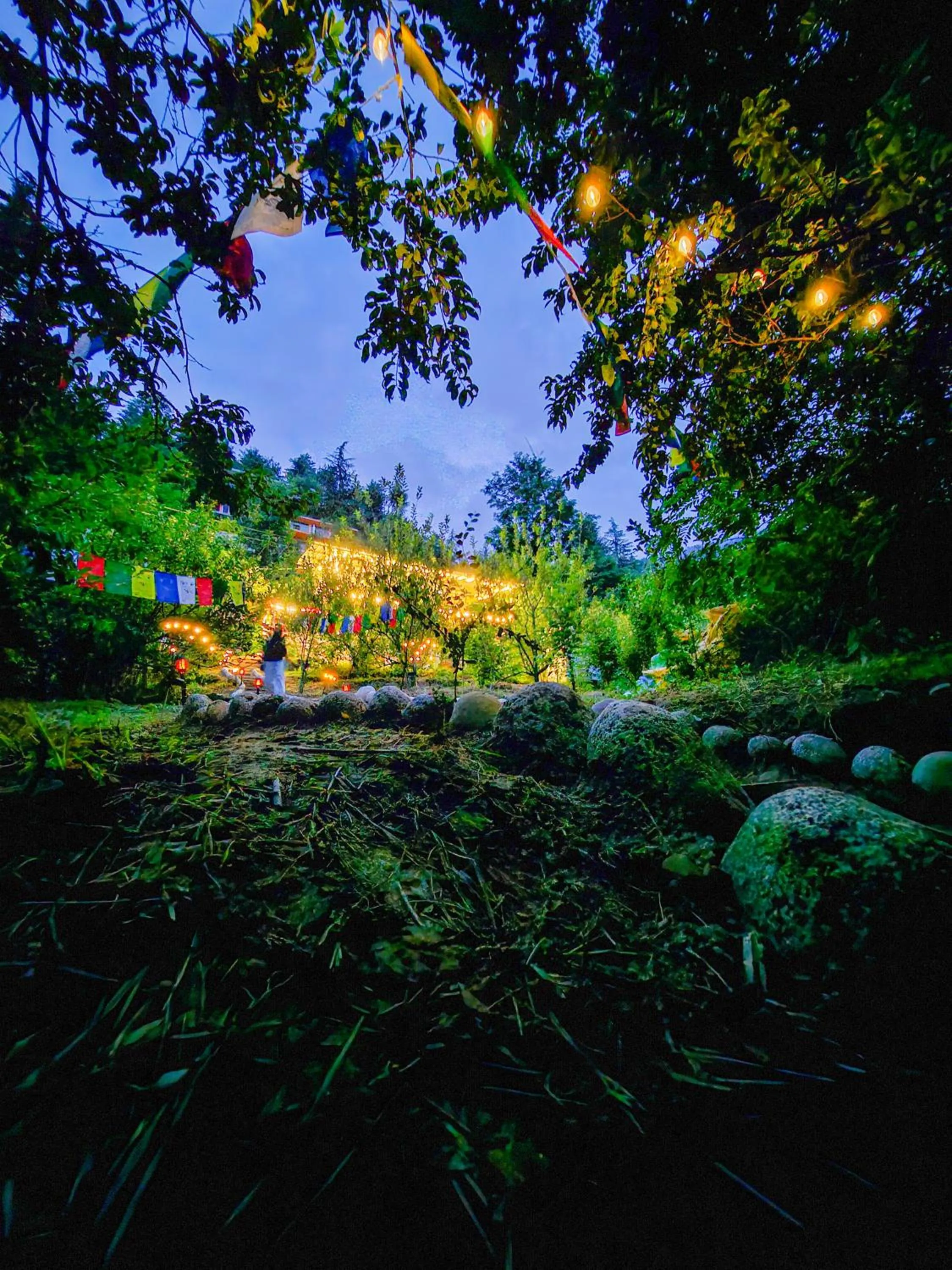 Spring in PREMALYA TRAILS By Tirtha