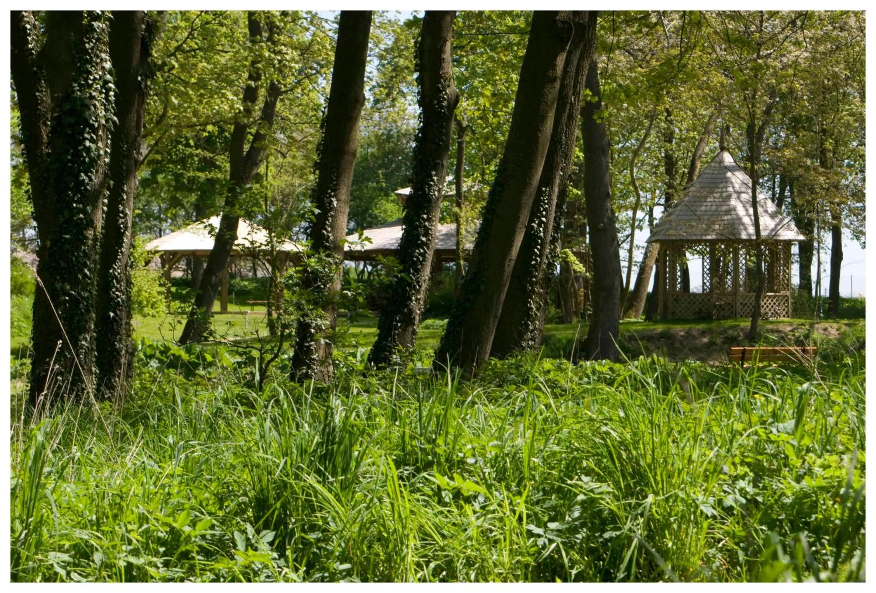 Garden in Hotel SPA Wieniawa