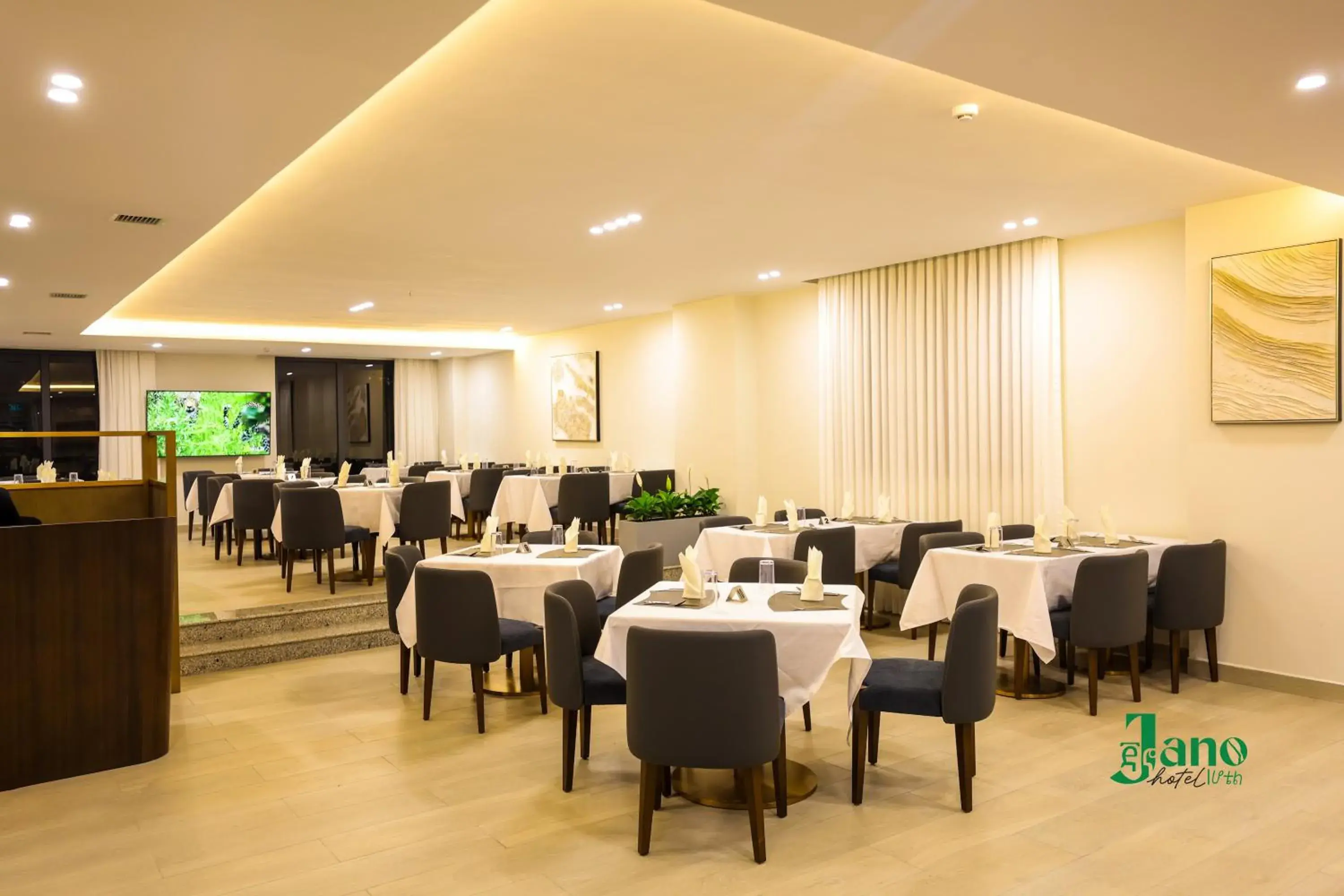 Restaurant/places to eat in Jano Hotel Restaurant/places to eat in Jano Hotel