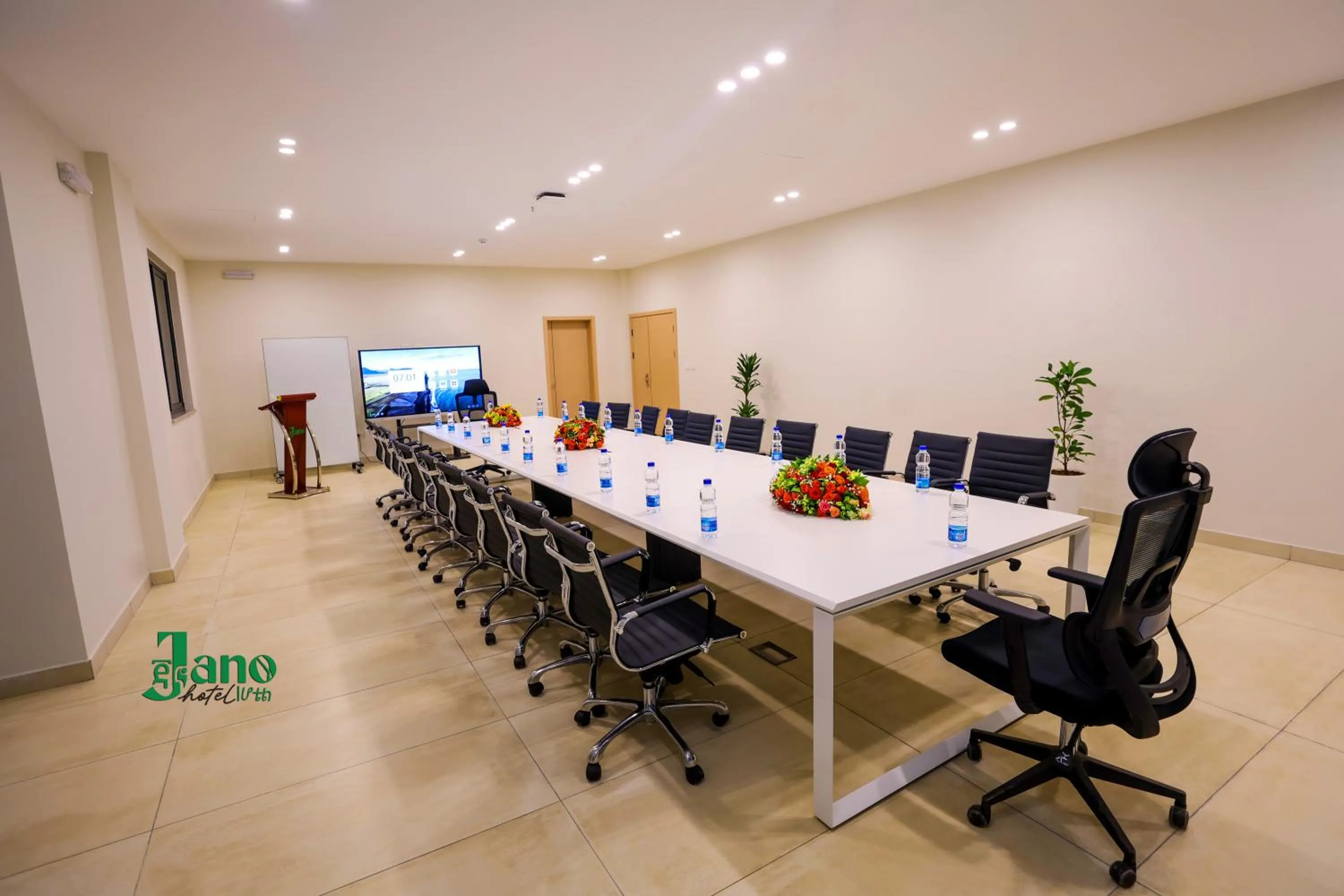 TV and multimedia in Jano Hotel