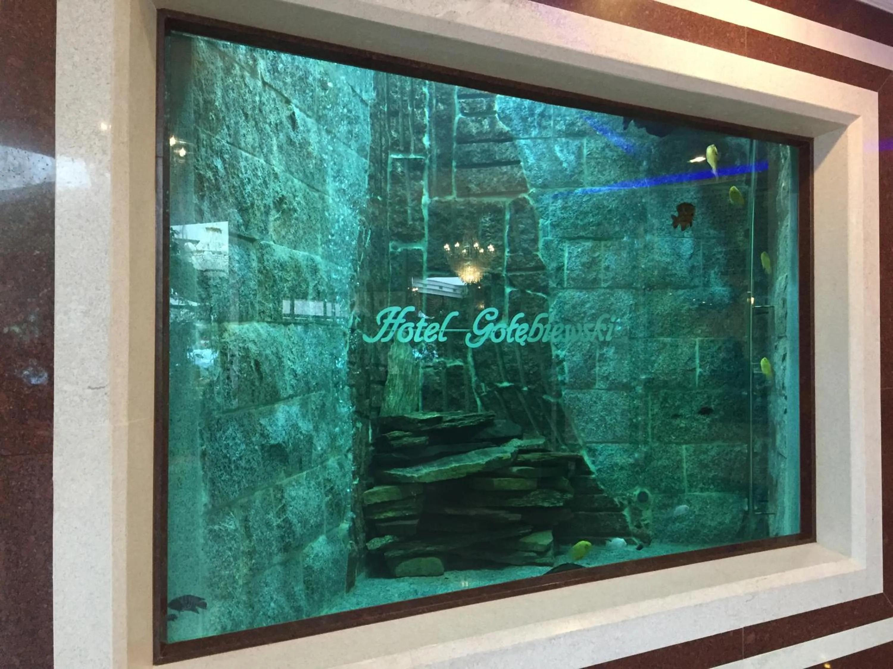 Lobby or reception in Hotel Gołębiewski Białystok