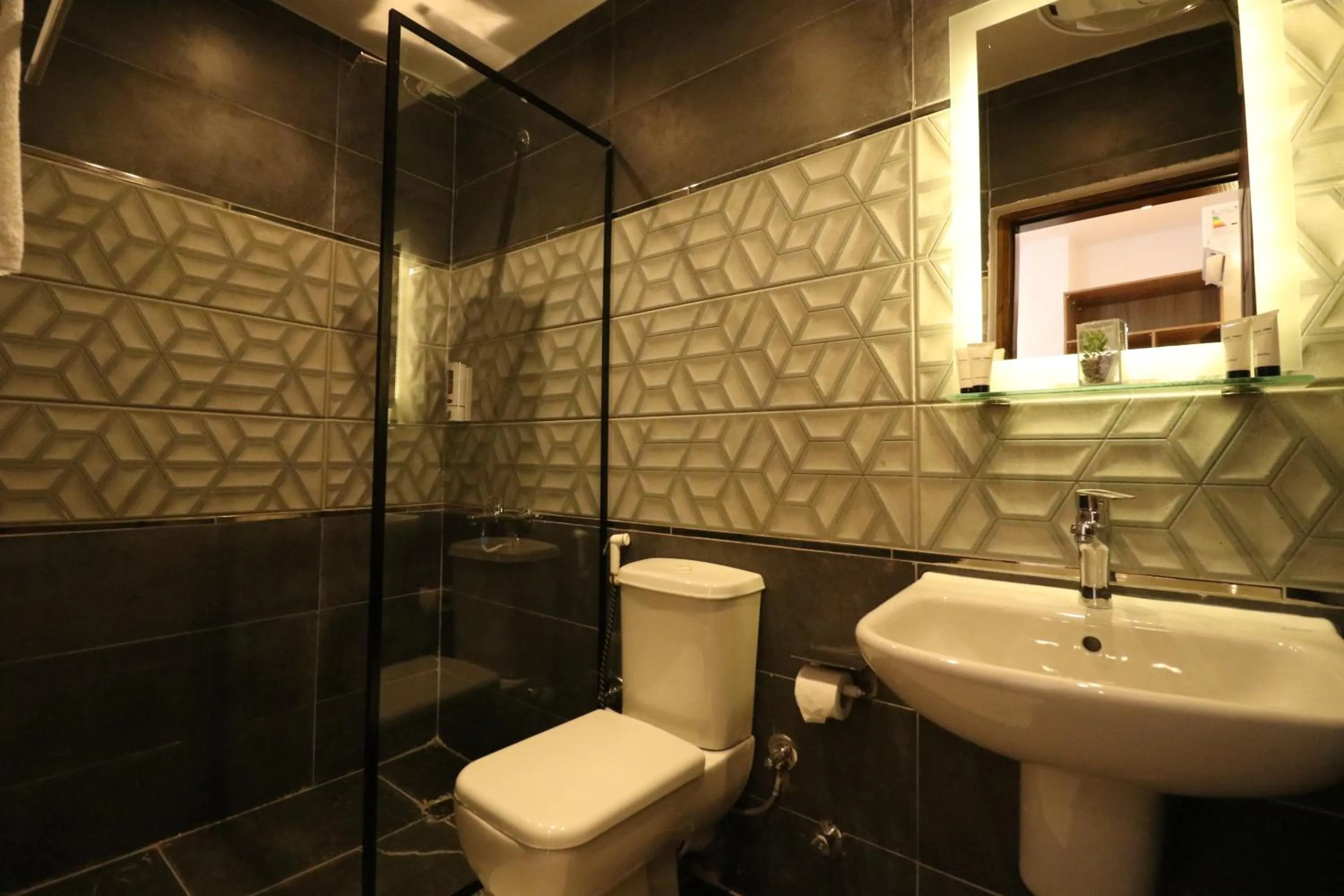 Shower in West Pyramids Hotel