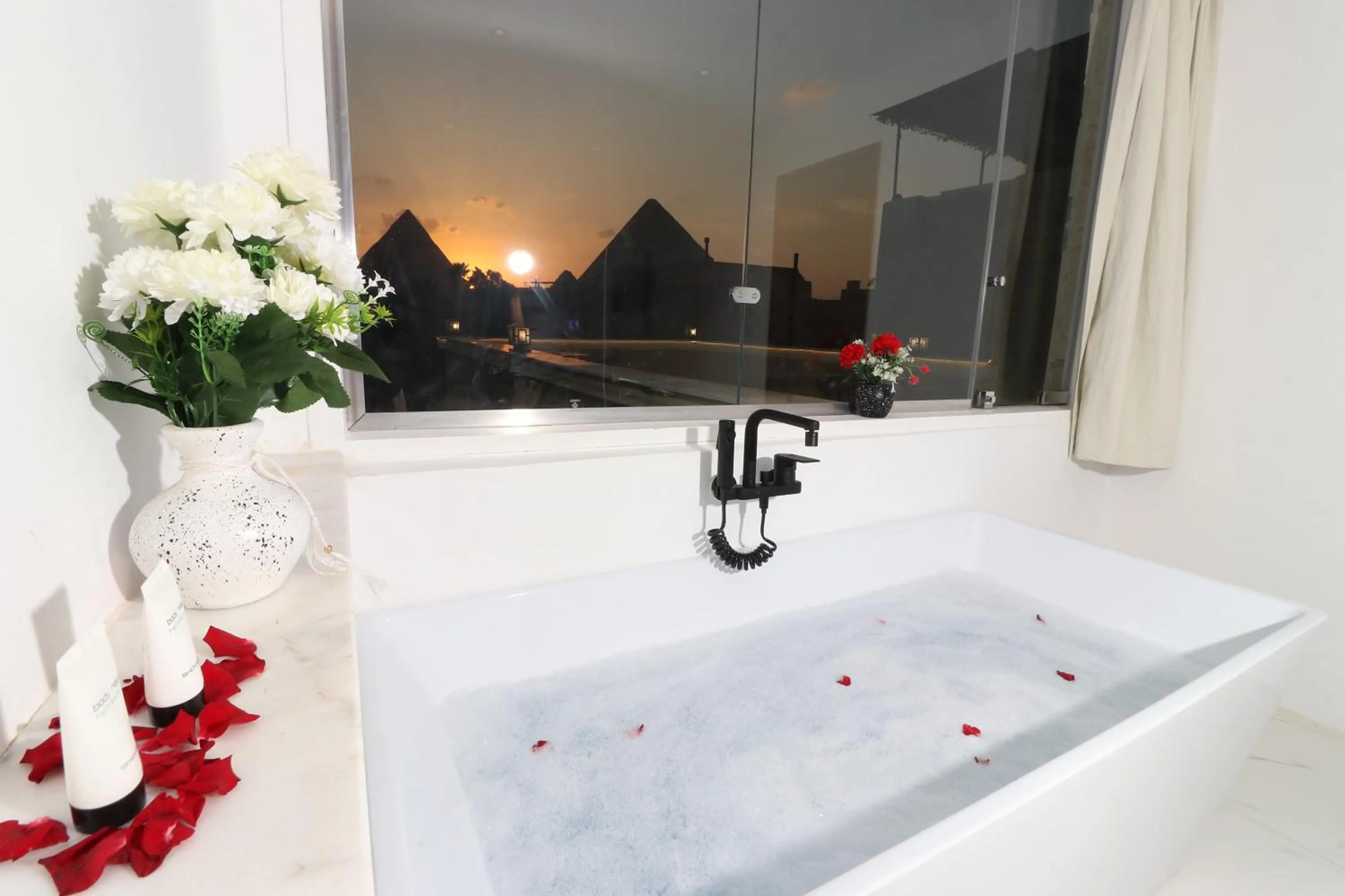 Natural landscape in West Pyramids Hotel