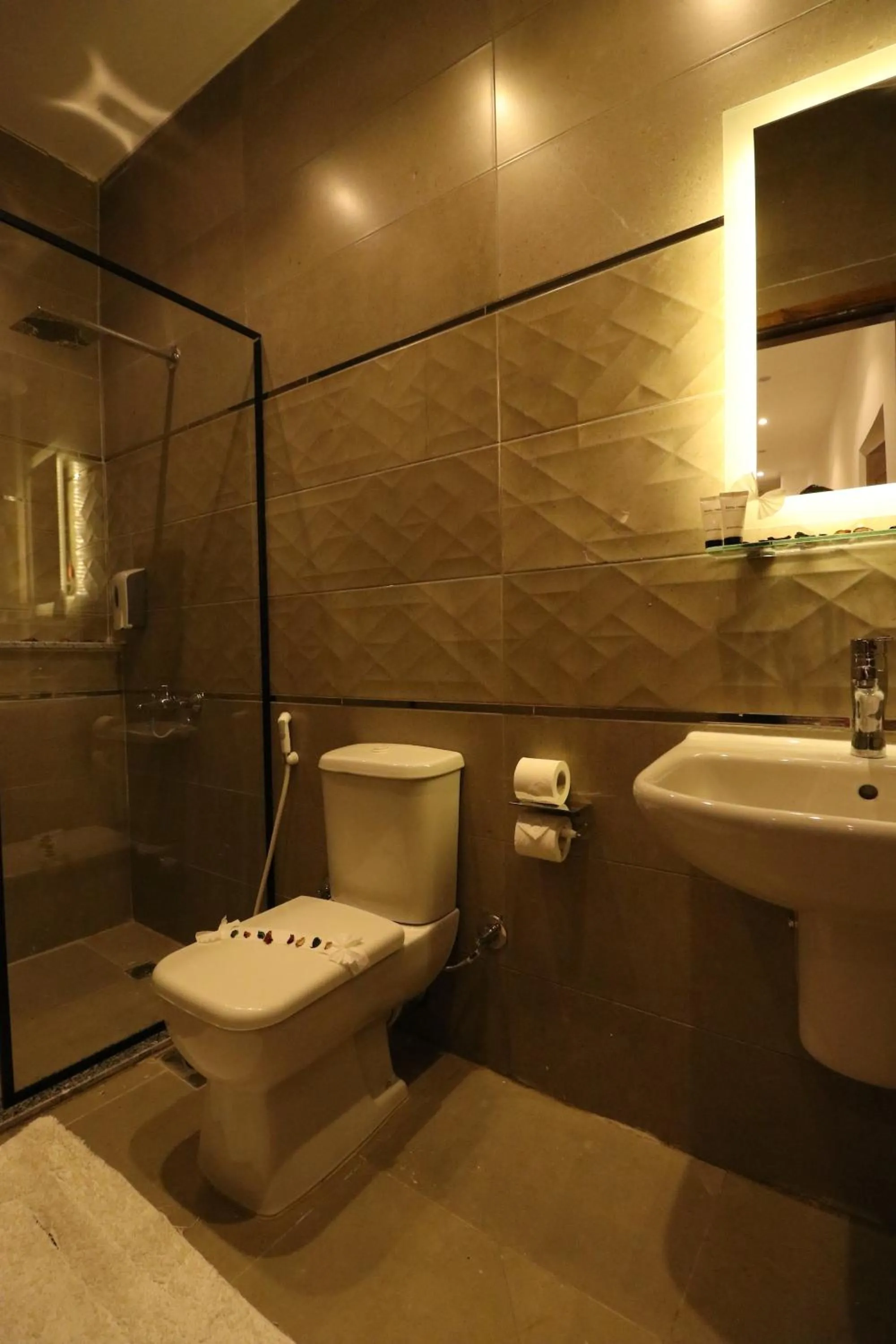 Shower in West Pyramids Hotel
