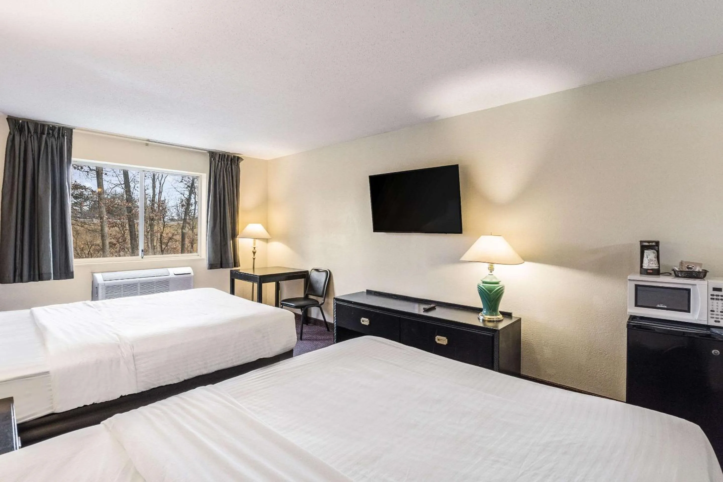 Photo of the whole room in Econo Lodge Whitehall near Michigan's Adventure