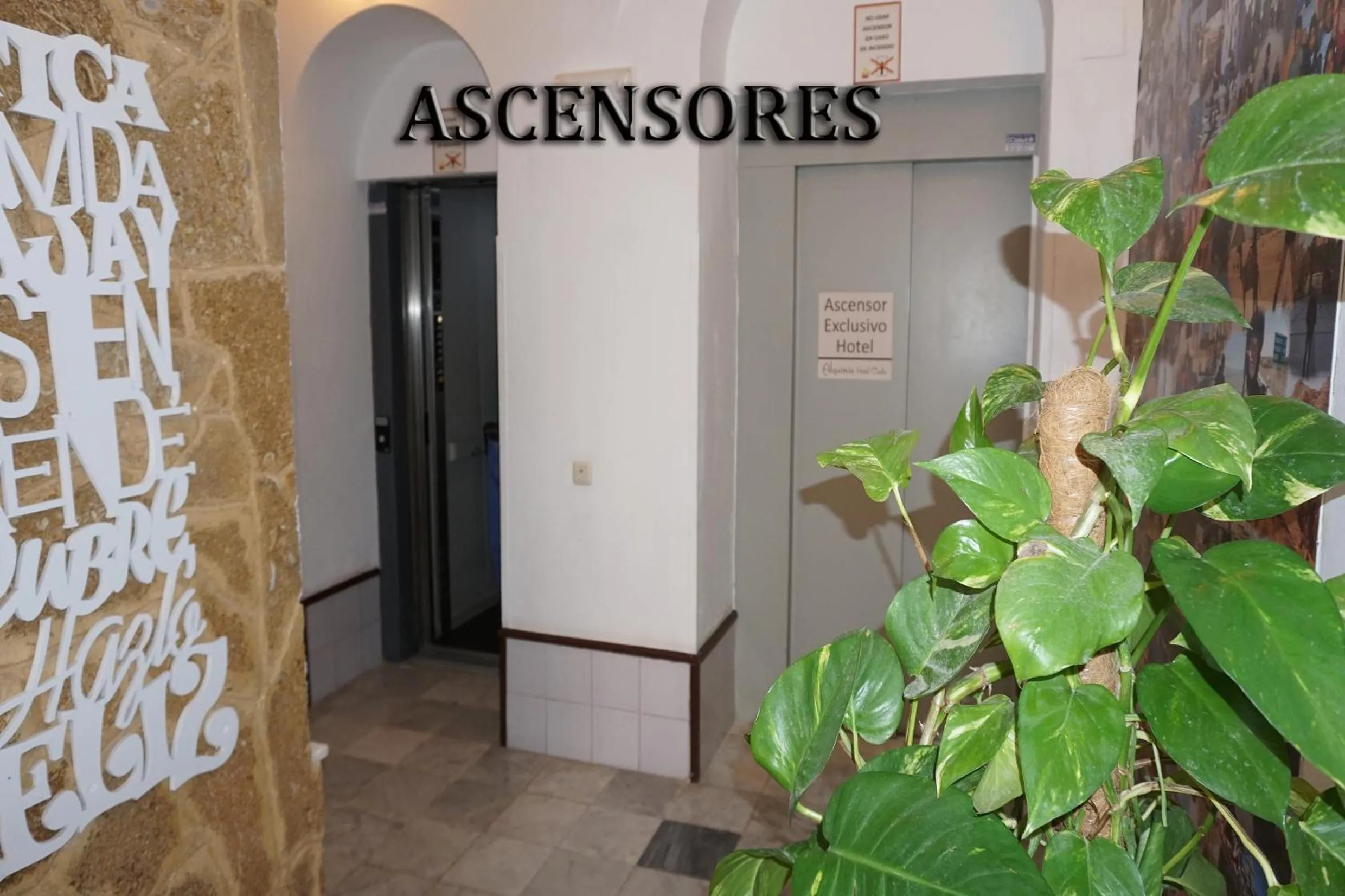 Area and facilities in Hotel Alquimia Cadiz