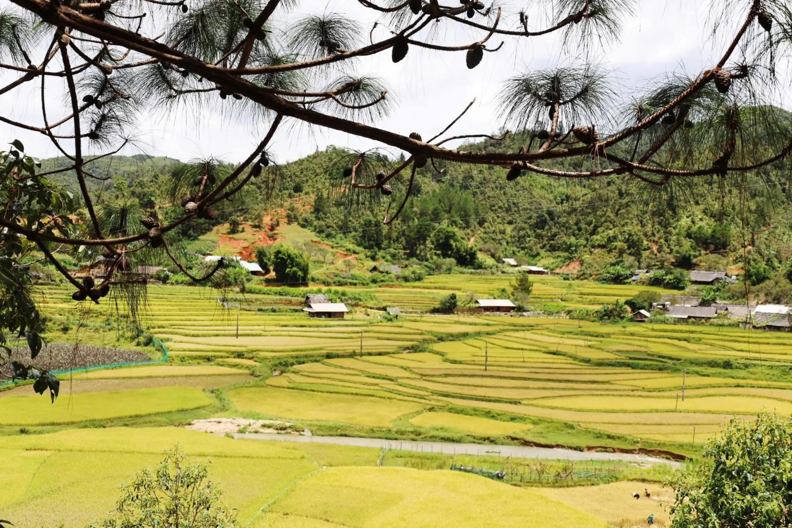 Nearby landmark in Lam Ecolodge Mu Cang Chai