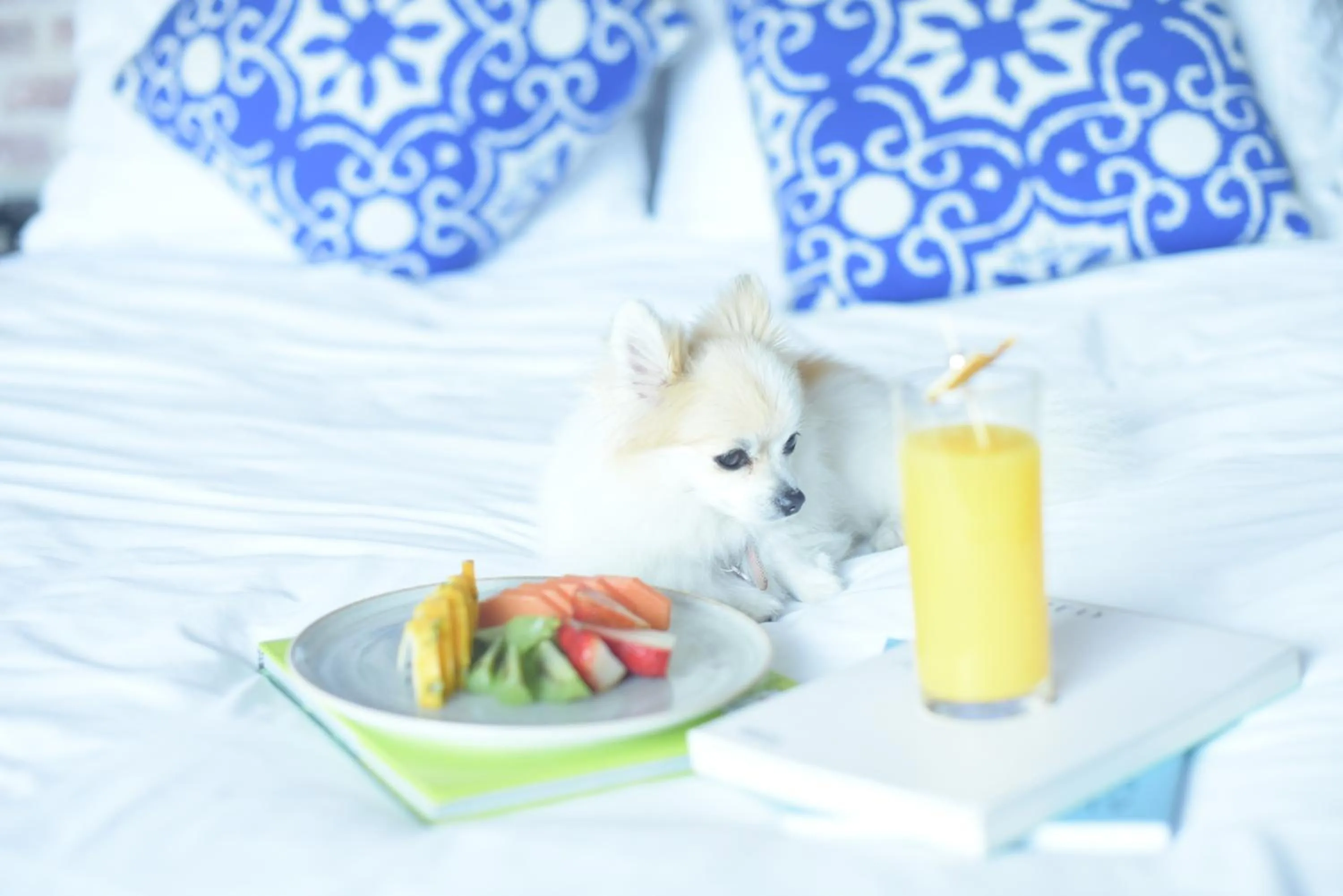 Hot Spring Bath, Bed in The Artisan D.C. Hotel, Autograph Collection