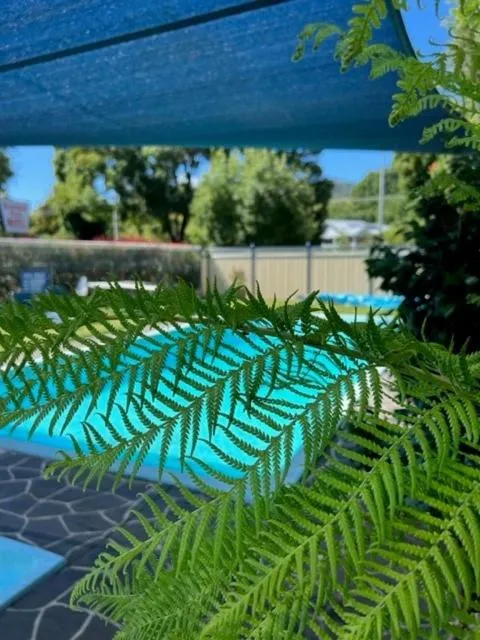 Swimming pool in Riverbank Park MOTEL