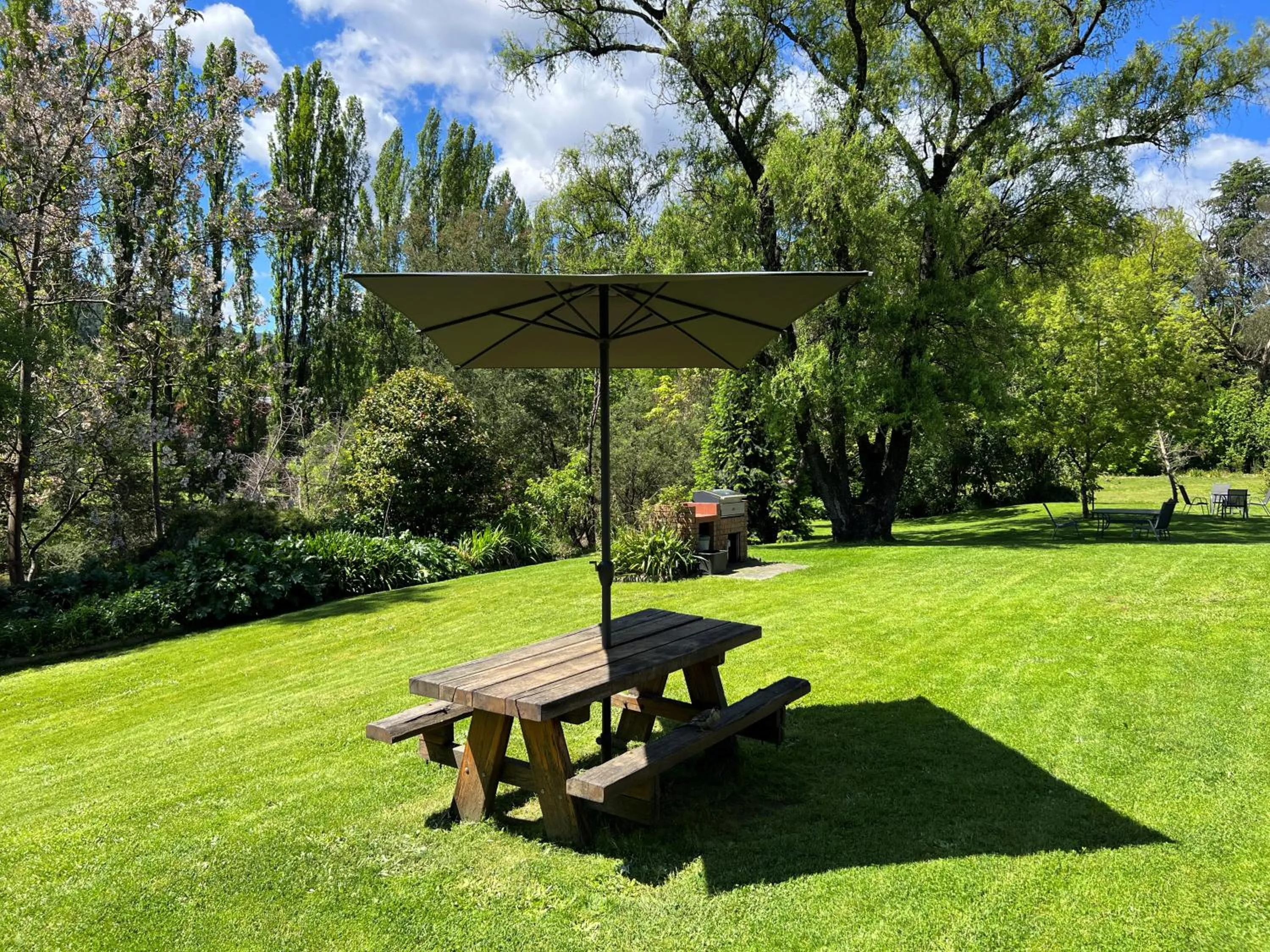 BBQ facilities in Riverbank Park MOTEL