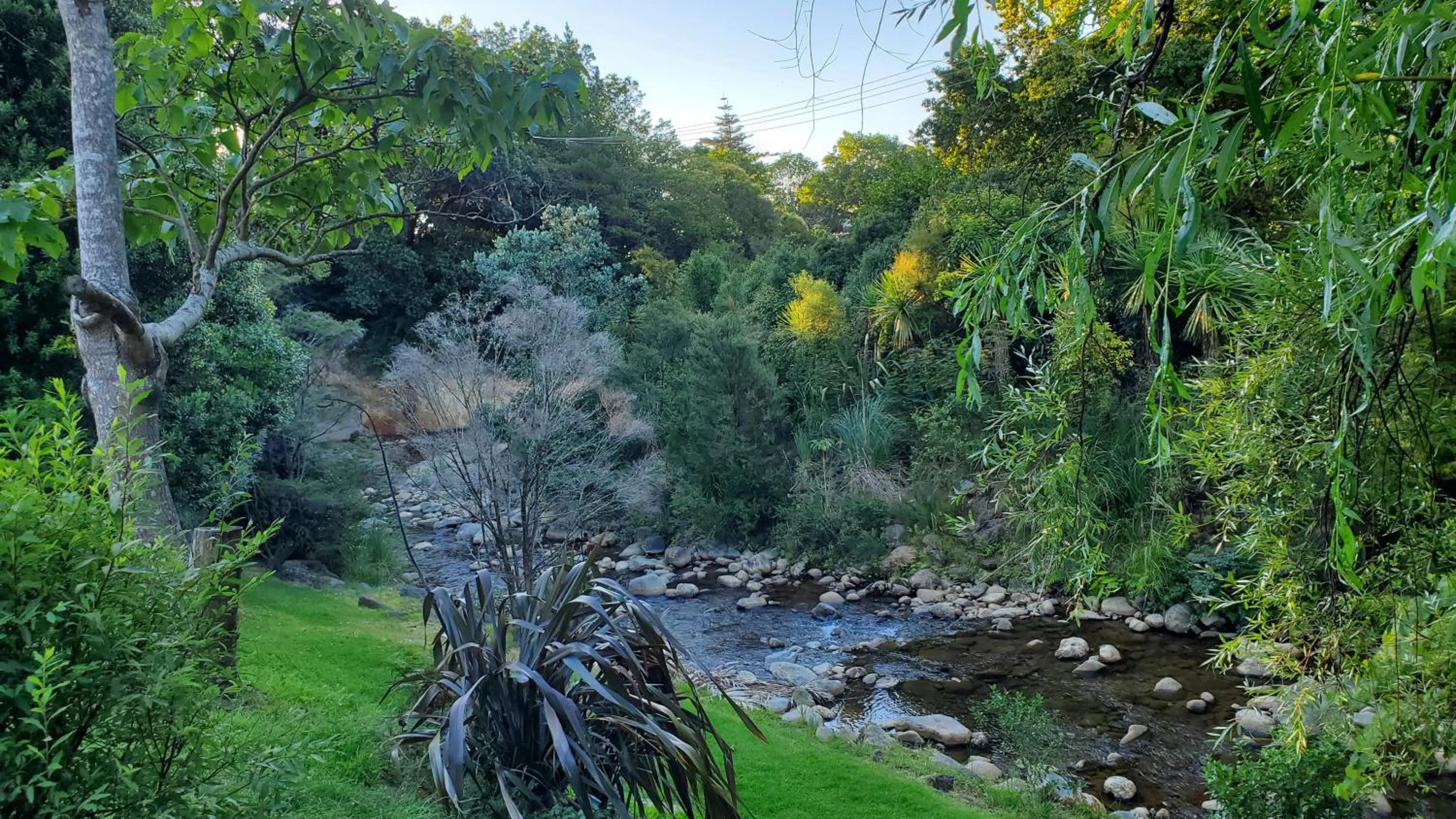 Natural landscape in Dickson Holiday Park