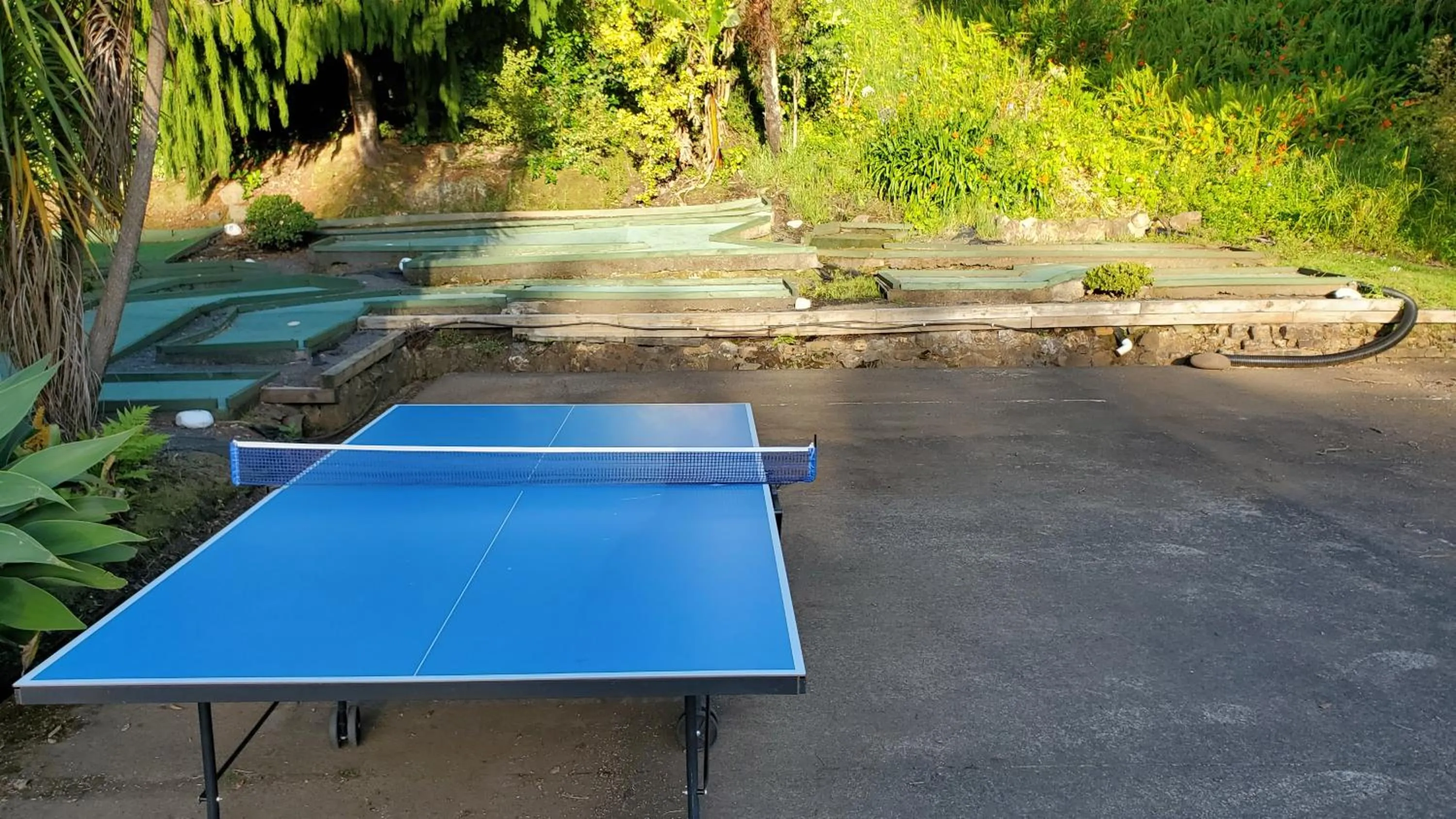 Table tennis in Dickson Holiday Park
