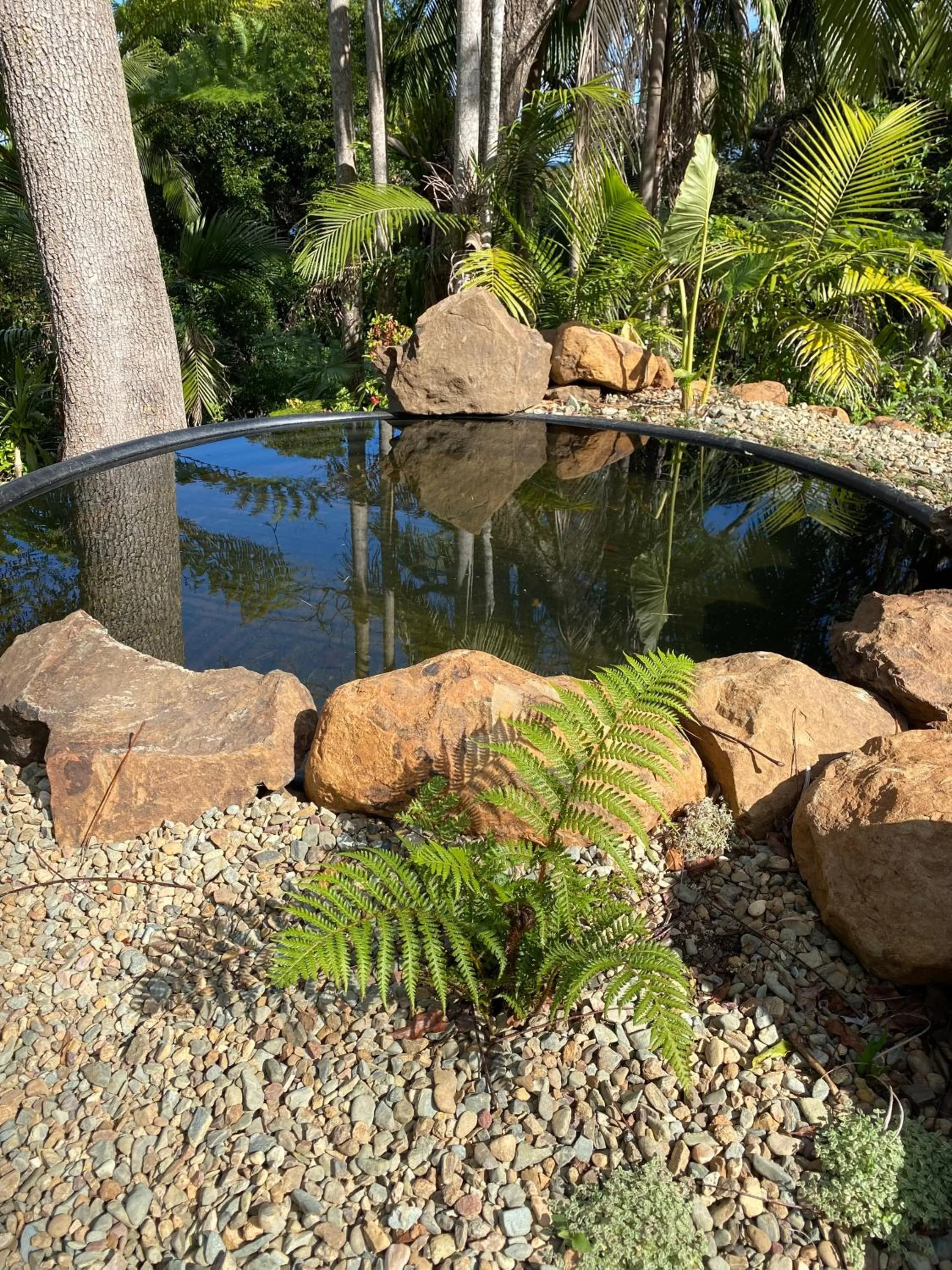 Montville Misty View Cottages