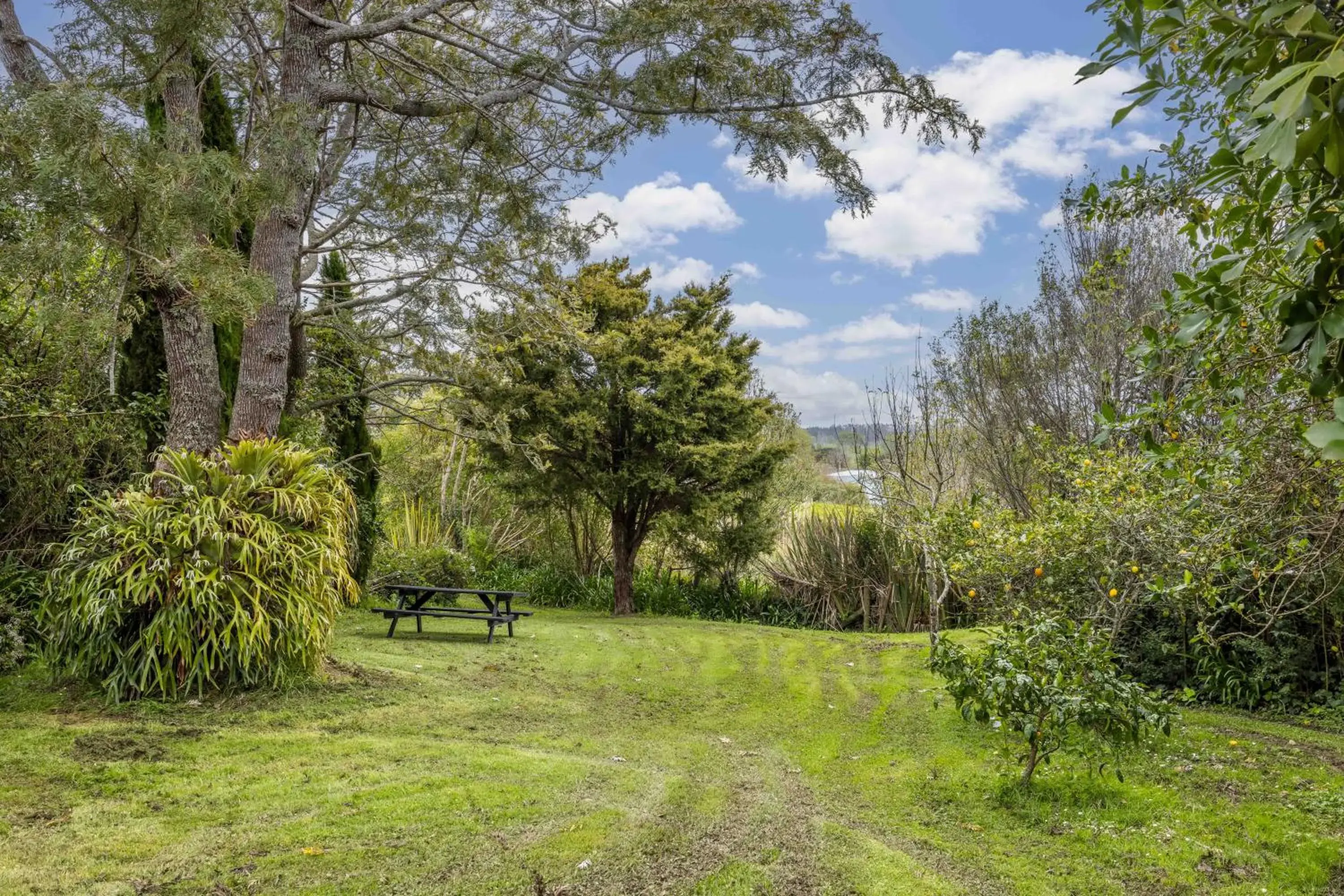 Queen Studio in Sun Valley Motel Queen Studio in Sun Valley Motel