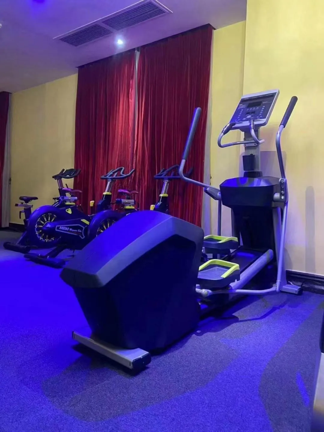 Fitness centre/facilities in The Royal Pinnacle Hotel