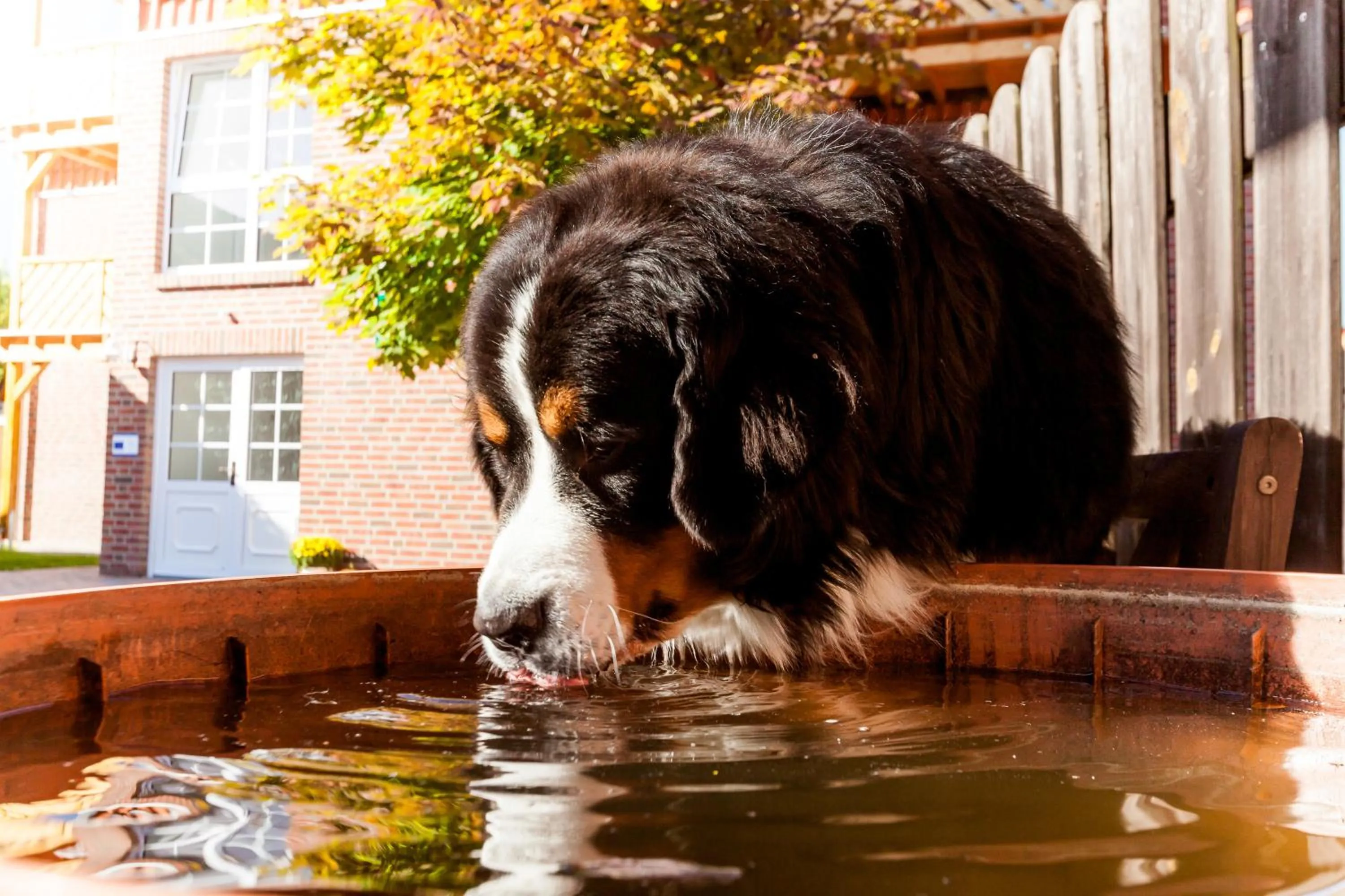 Area and facilities in Meyers
