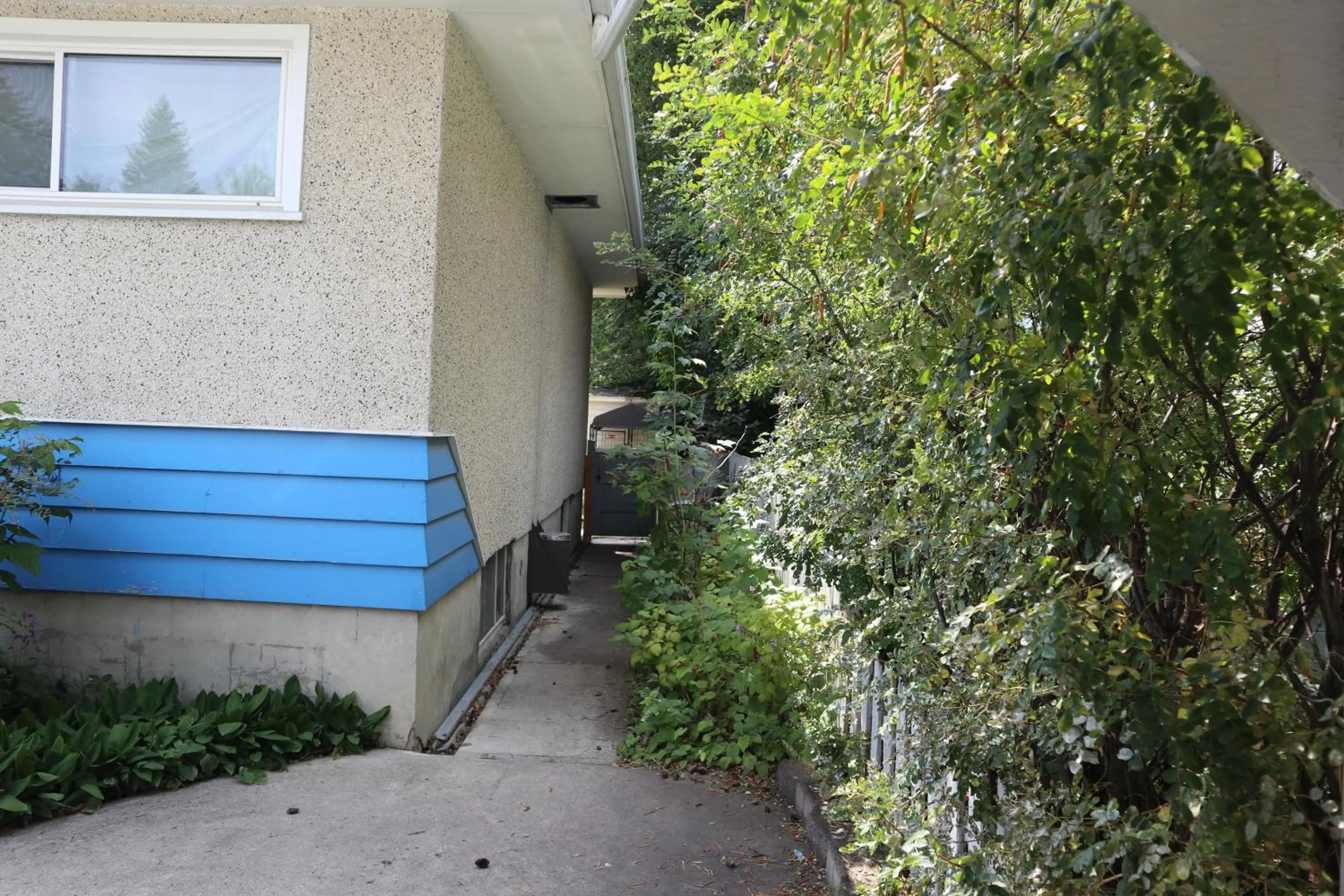 Calgary's Home Cinema Retreat