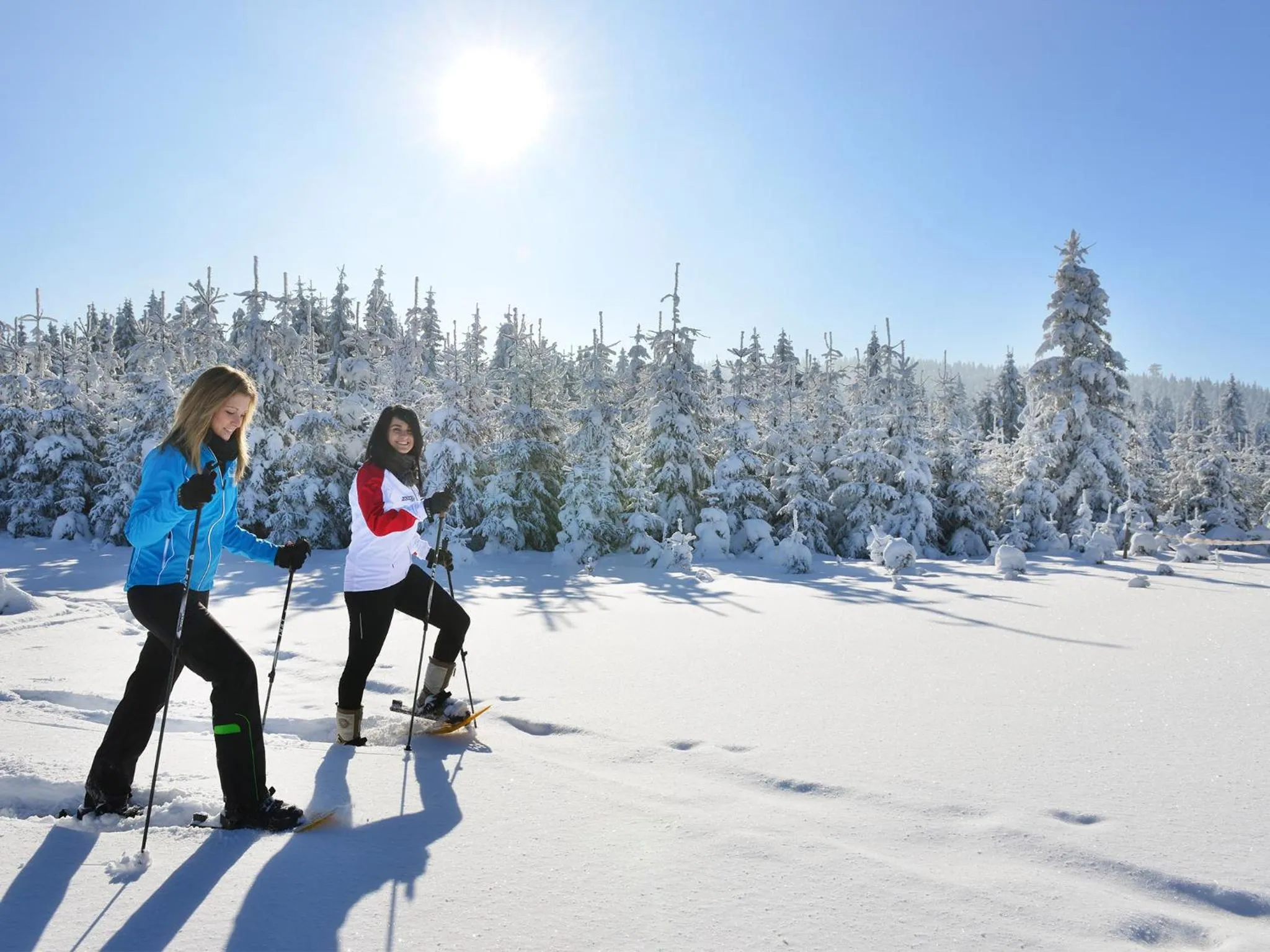 Skiing in Das Franzl - Bett & Brot