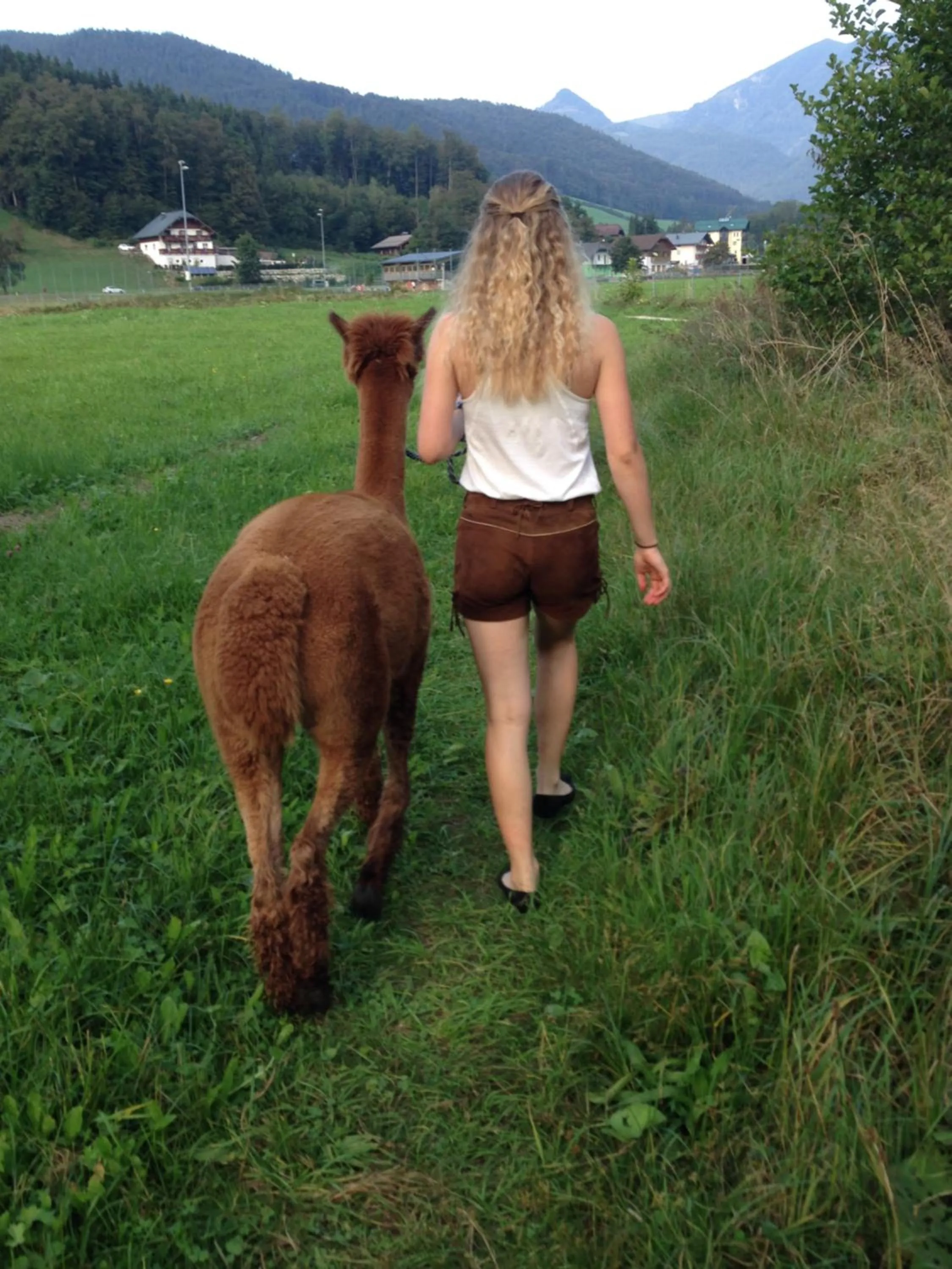 Activities in Das Franzl - Bett & Brot