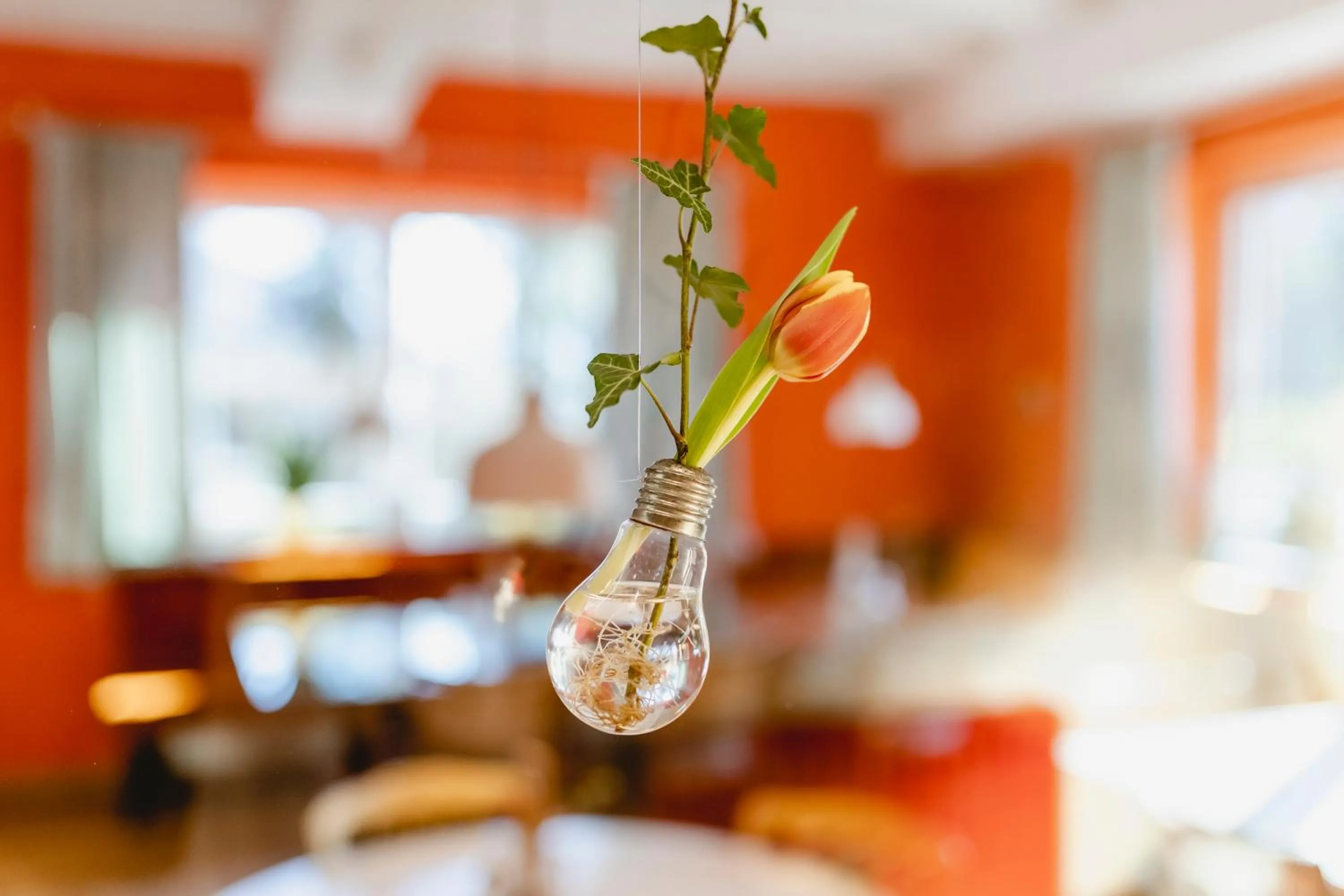 Lobby or reception in Das Franzl - Bett & Brot