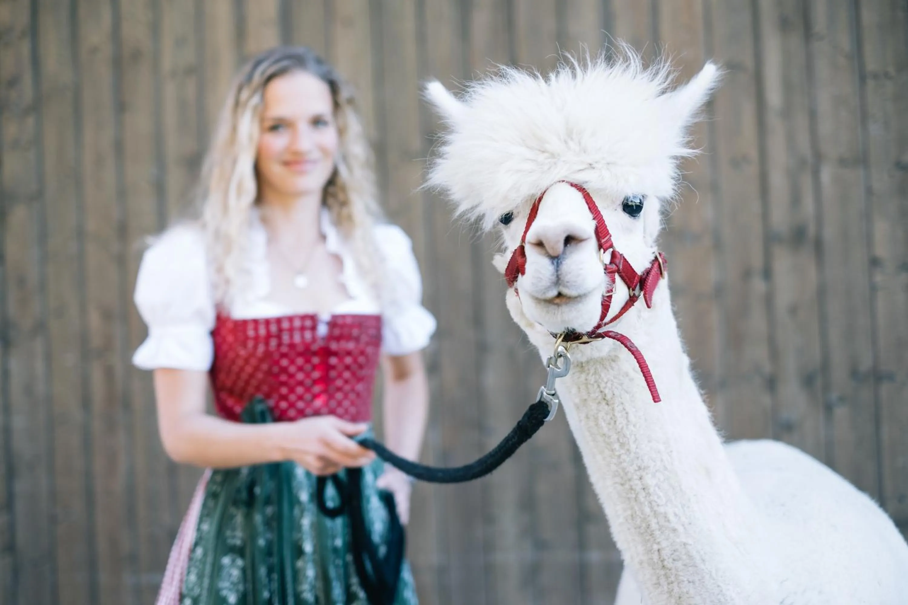 People in Das Franzl - Bett & Brot