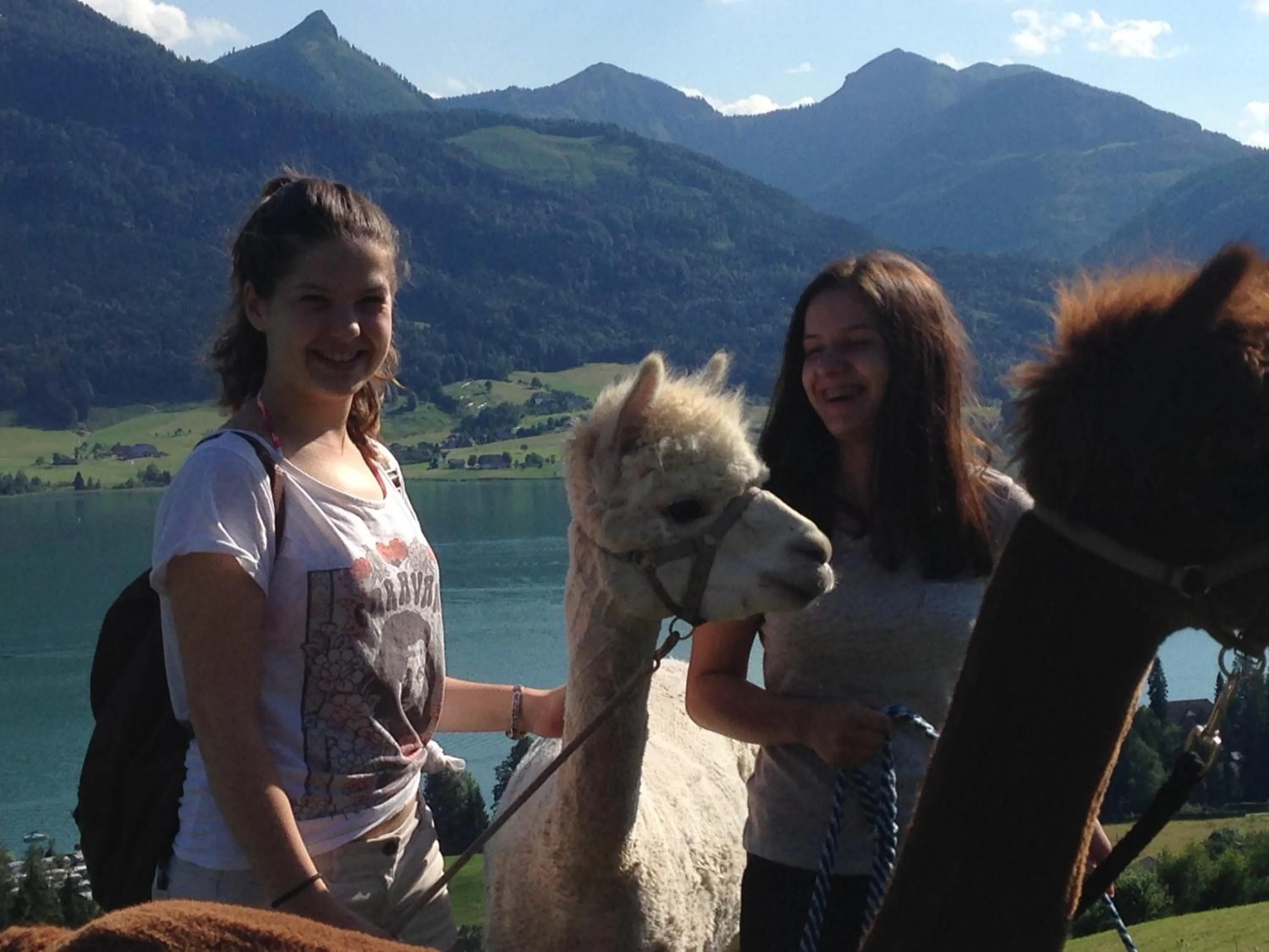 Activities in Das Franzl - Bett & Brot