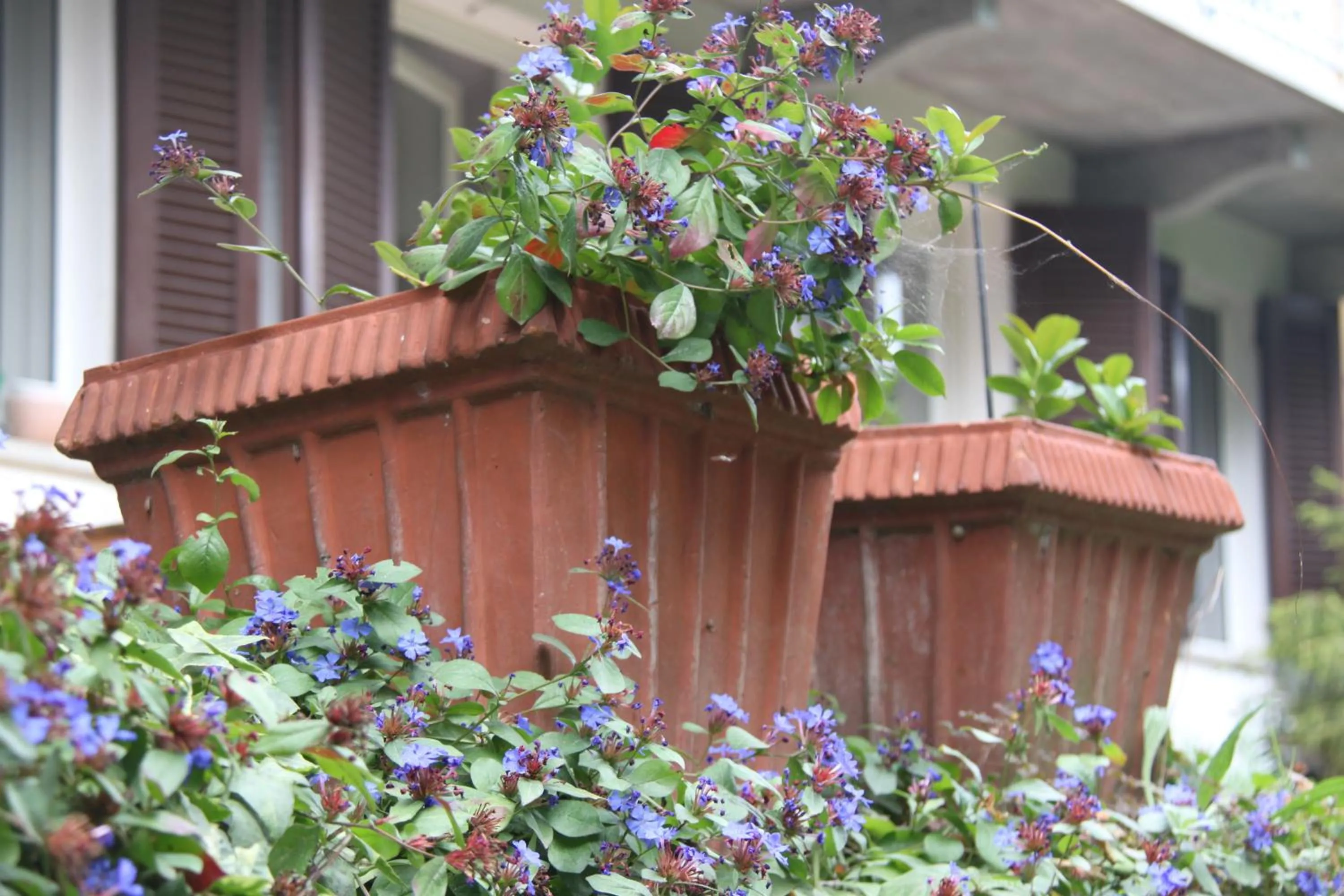 Guest house Cascina Belsito