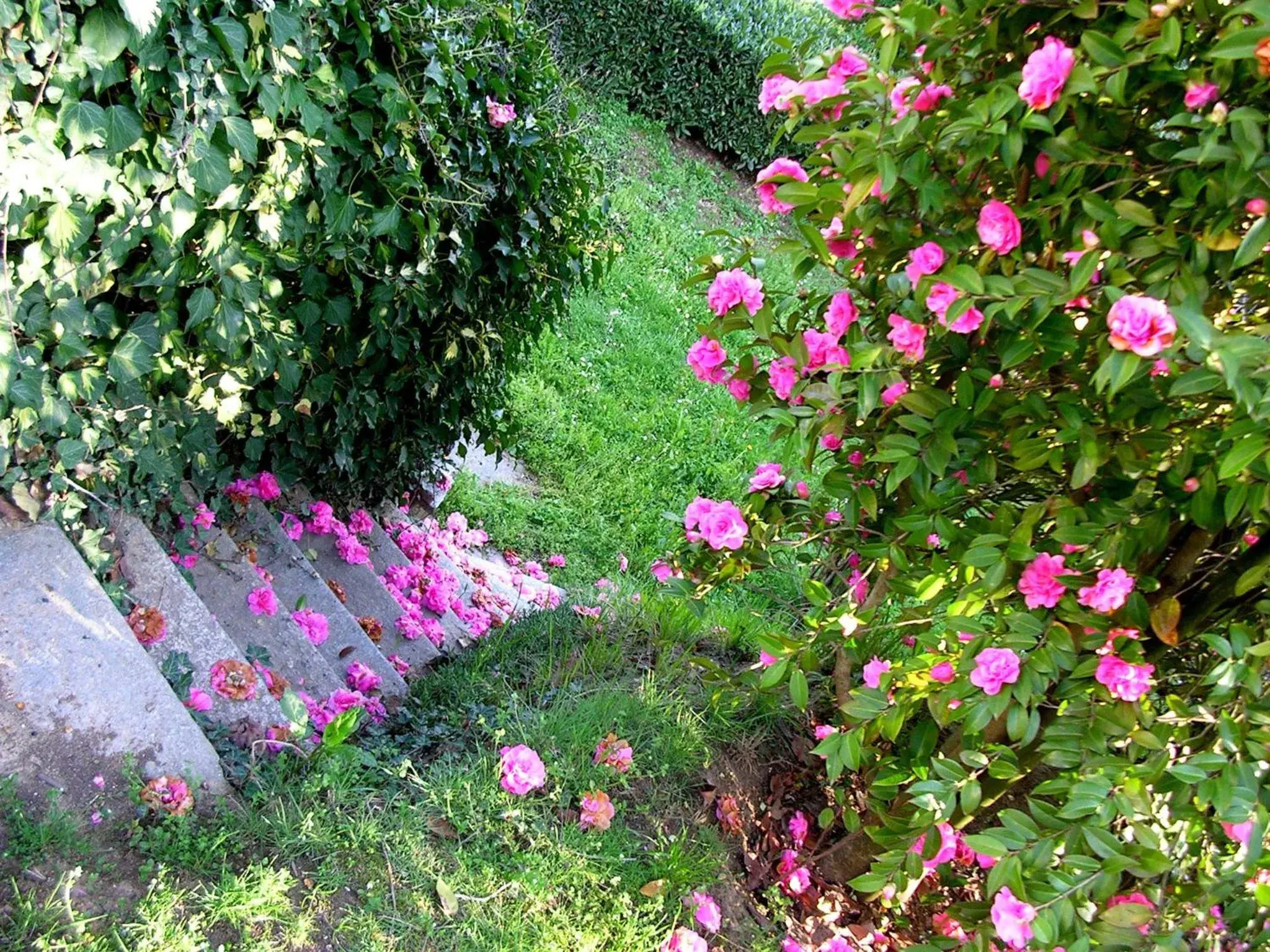 Guest house Cascina Belsito Guest house Cascina Belsito