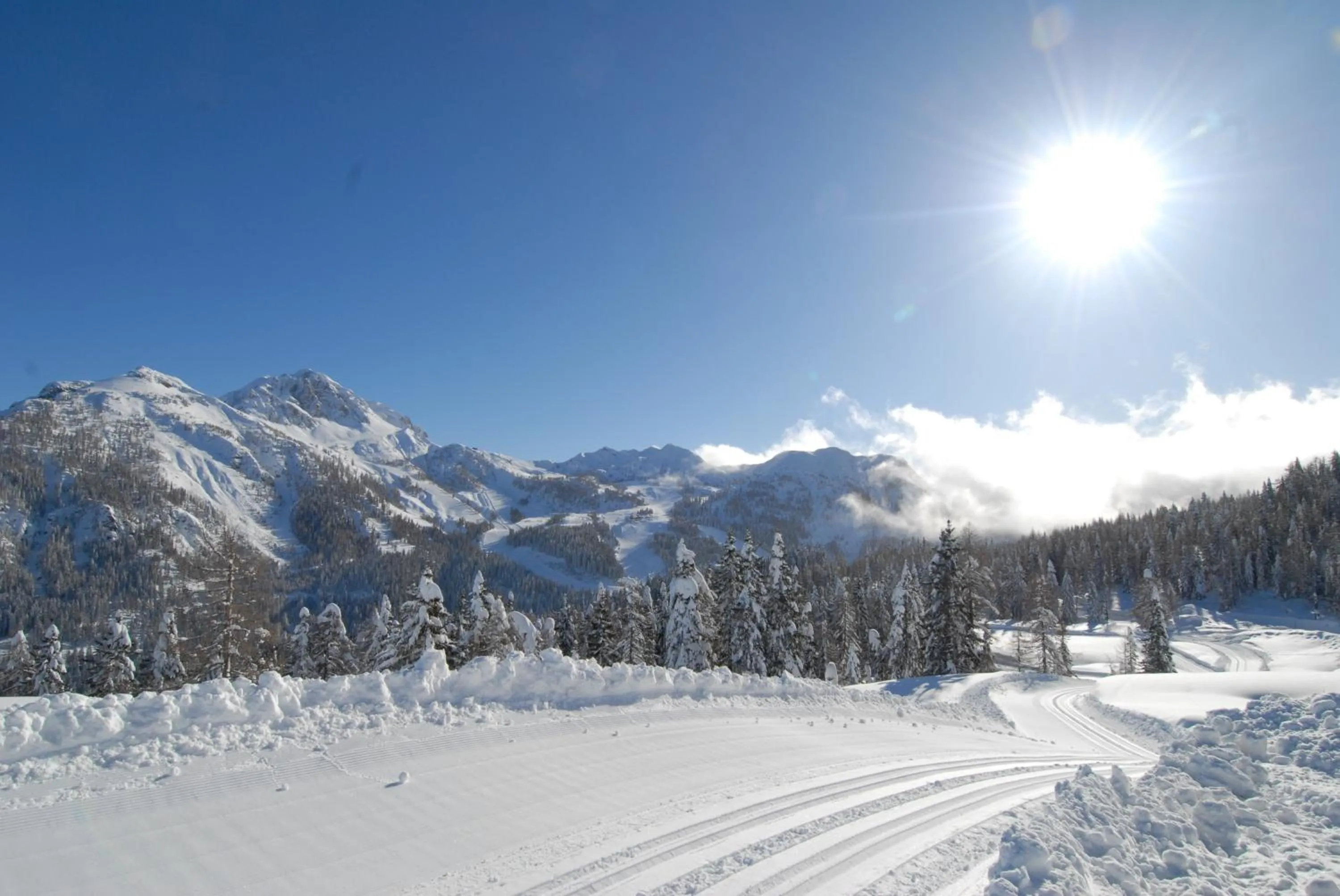 Natural landscape in nawu apartments & Restaurant