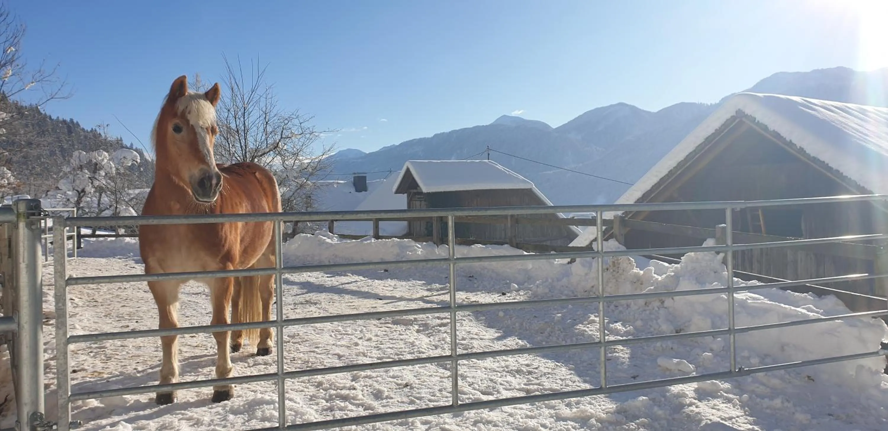 Day in nawu apartments & Restaurant