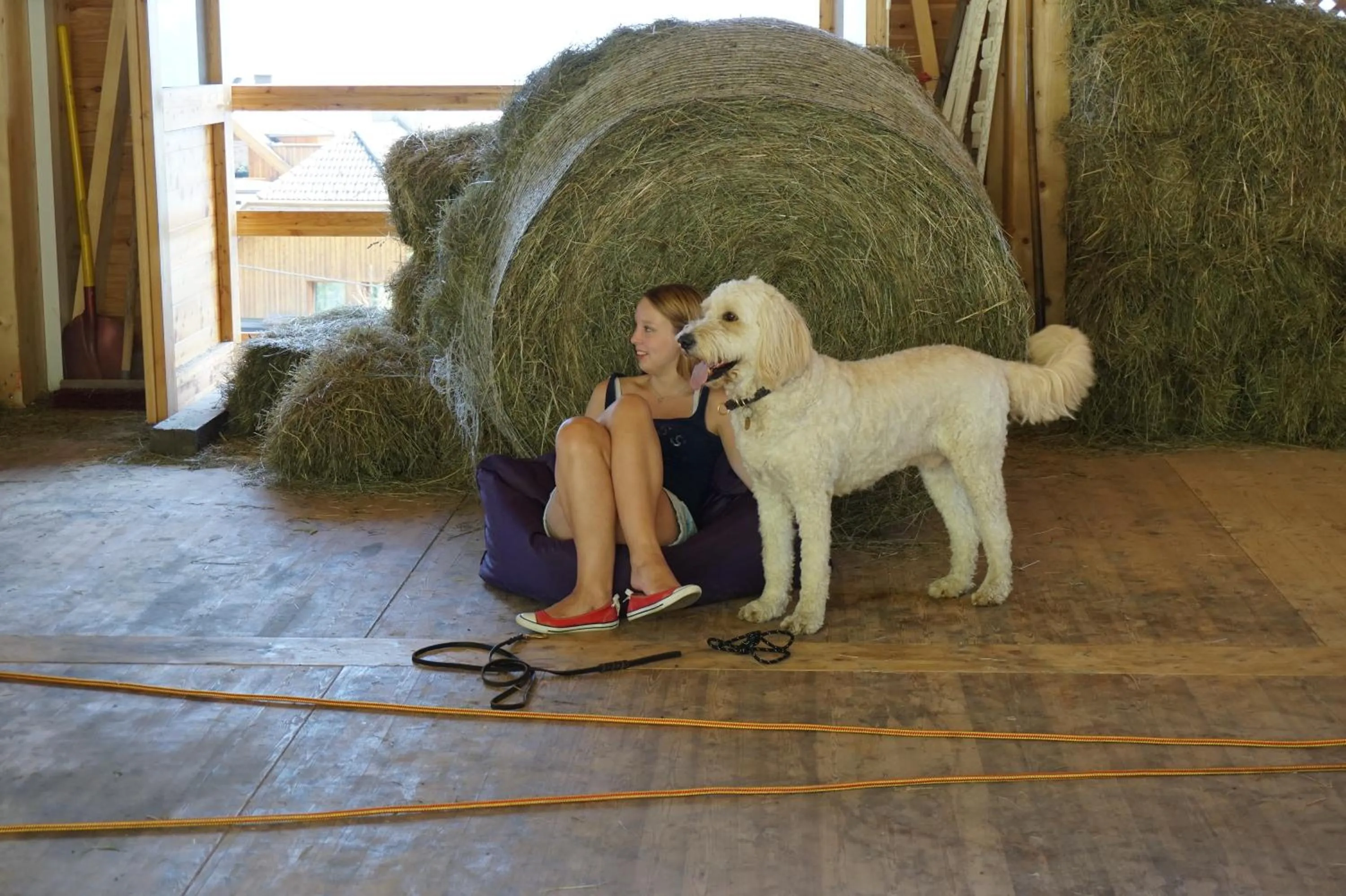 Animals in nawu apartments & Restaurant