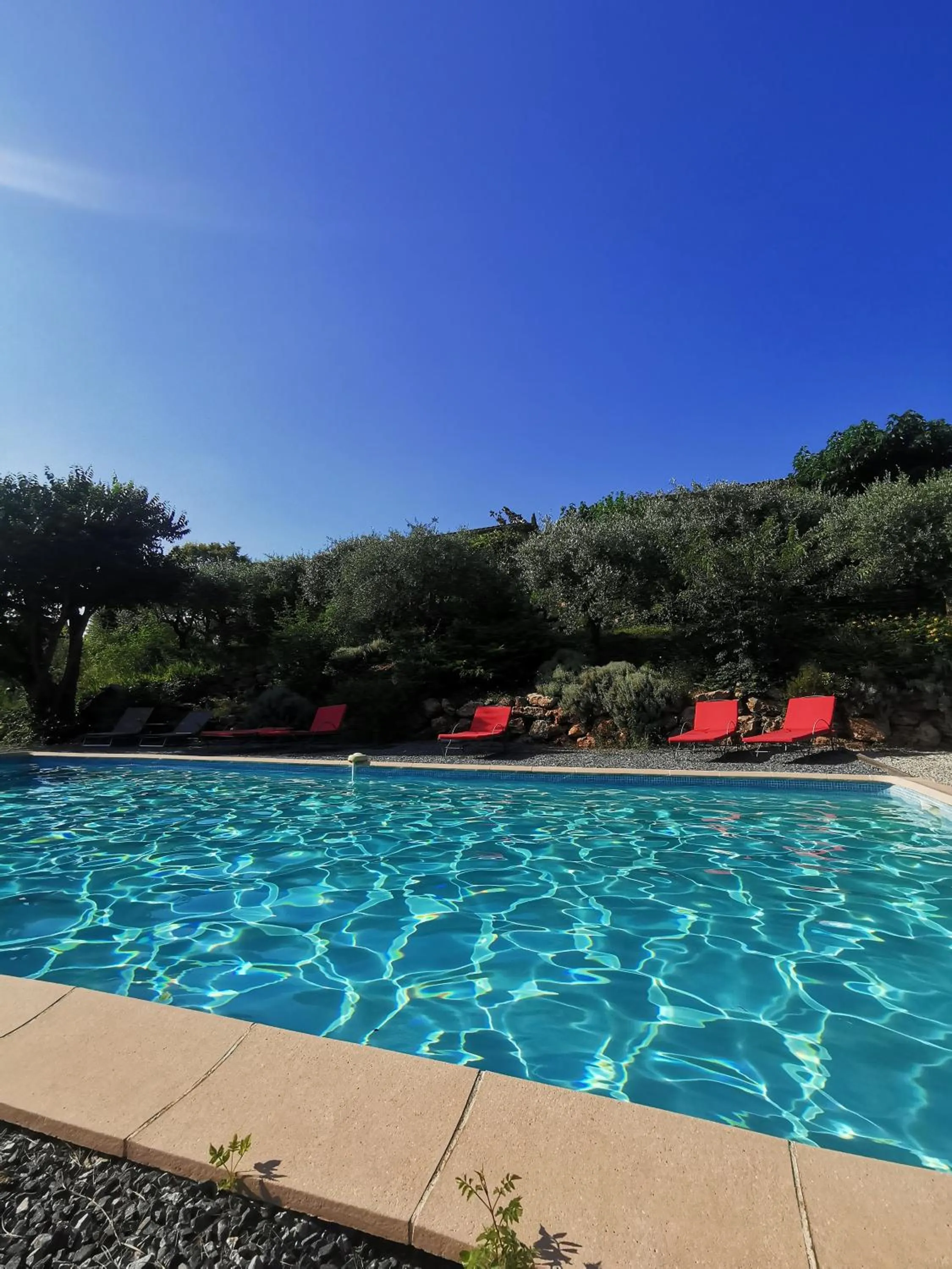 Day in Bastide Saint Bernard