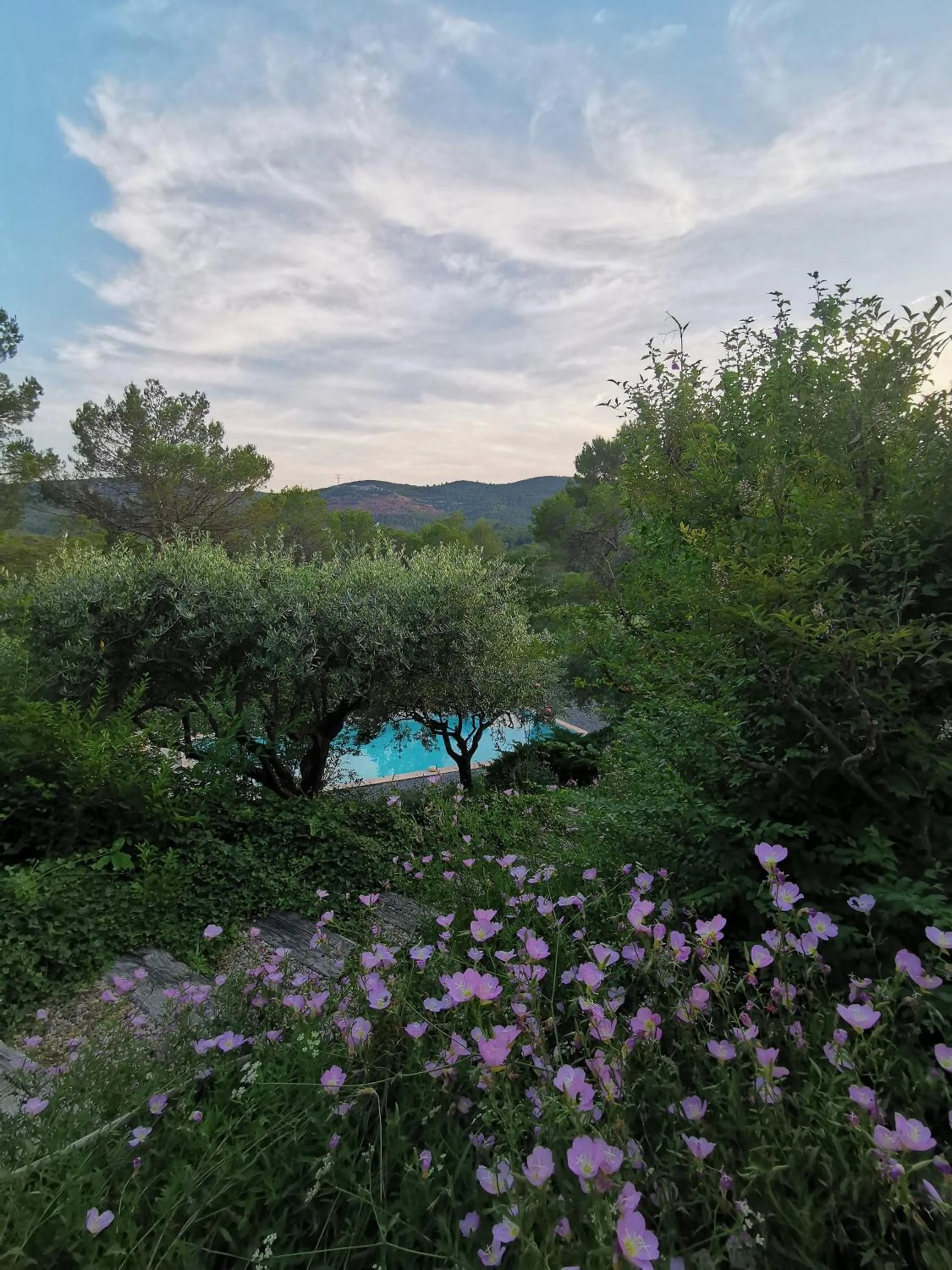 View (from property/room) in Bastide Saint Bernard
