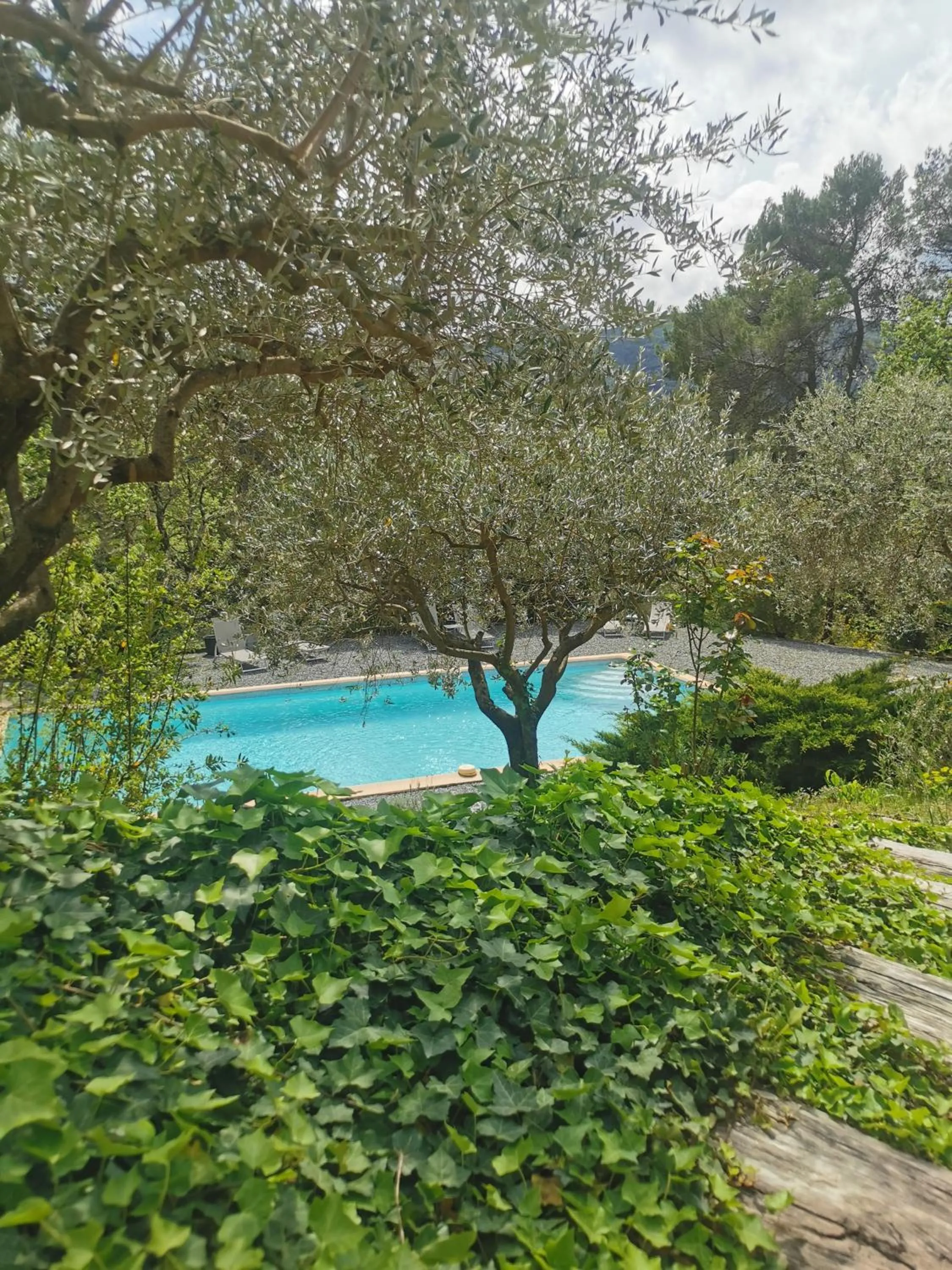 Spring in Bastide Saint Bernard