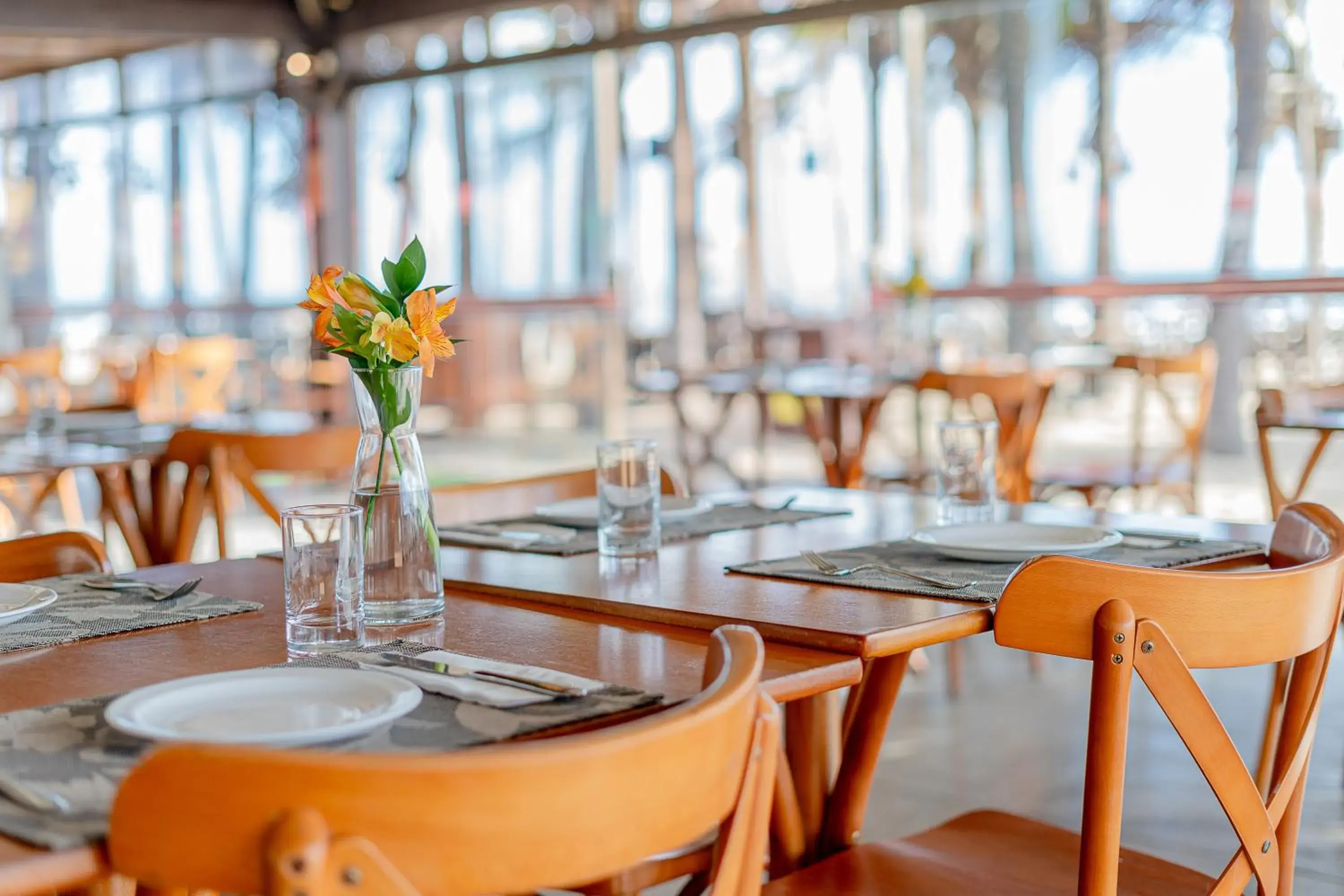 Restaurant/places to eat in Beach Park Resort - Oceani Restaurant/places to eat in Beach Park Resort - Oceani