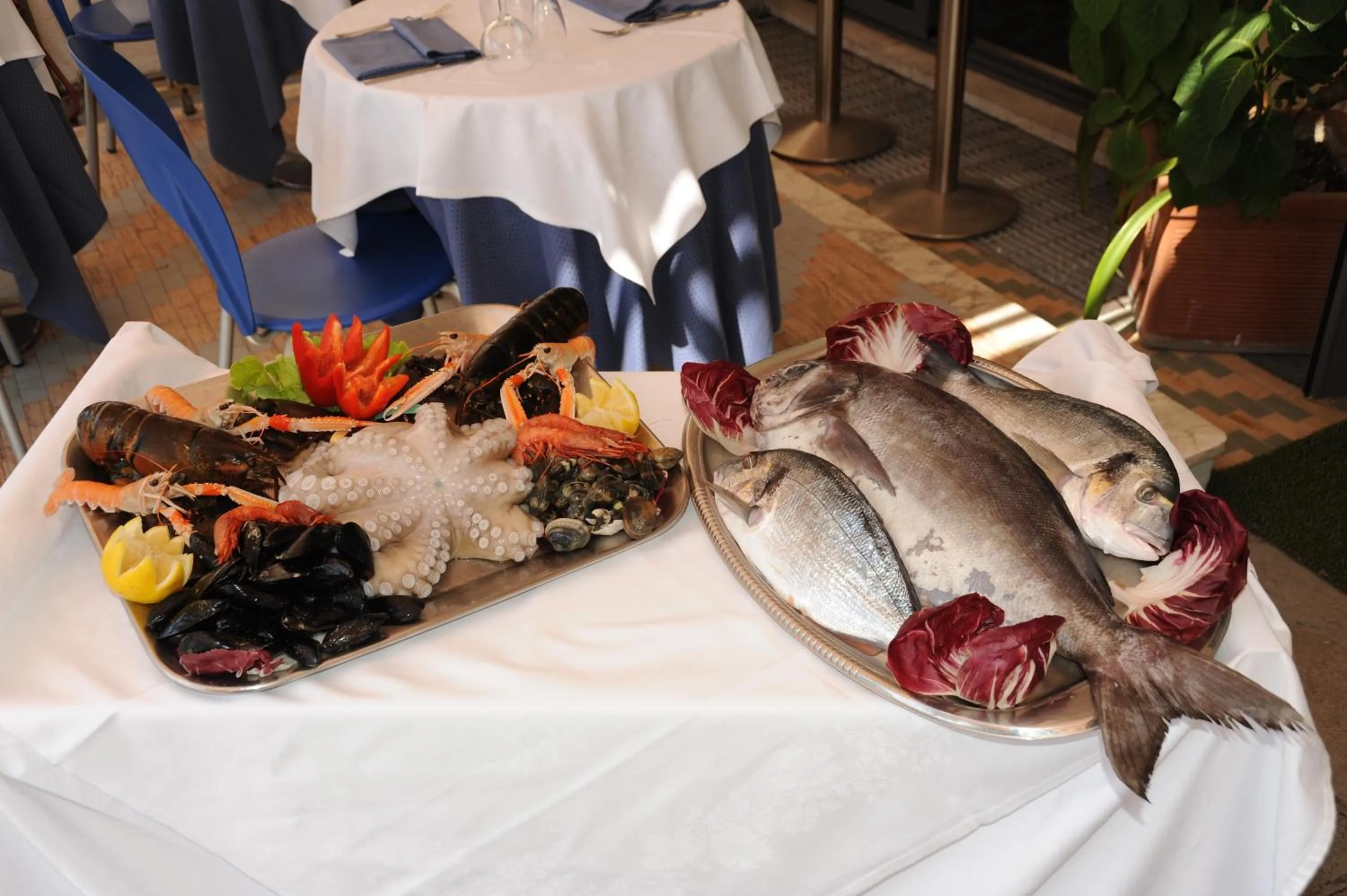 Food and drinks in Hotel Ristorante Milton