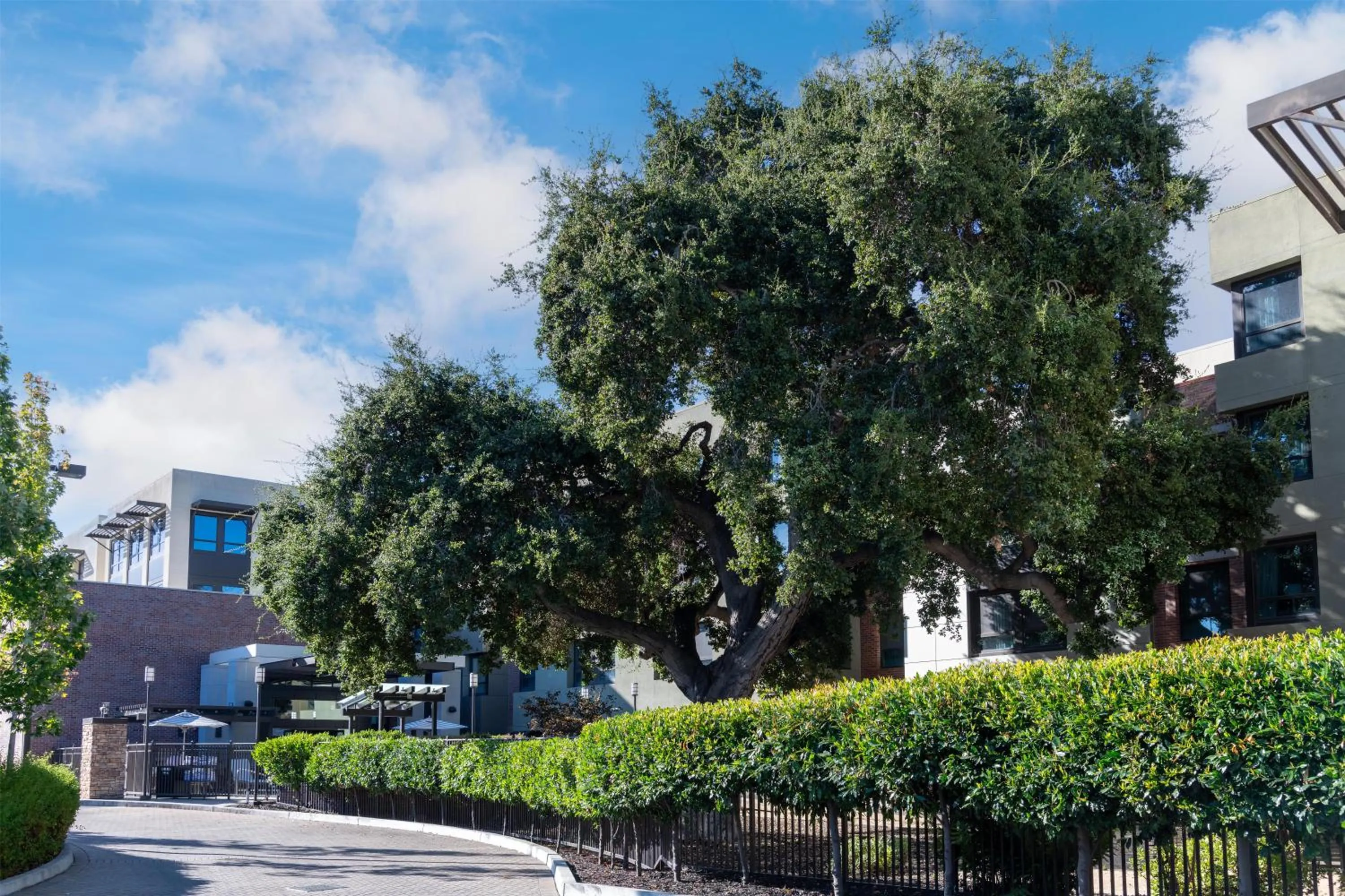 Property building in Homewood Suites by Hilton Palo Alto