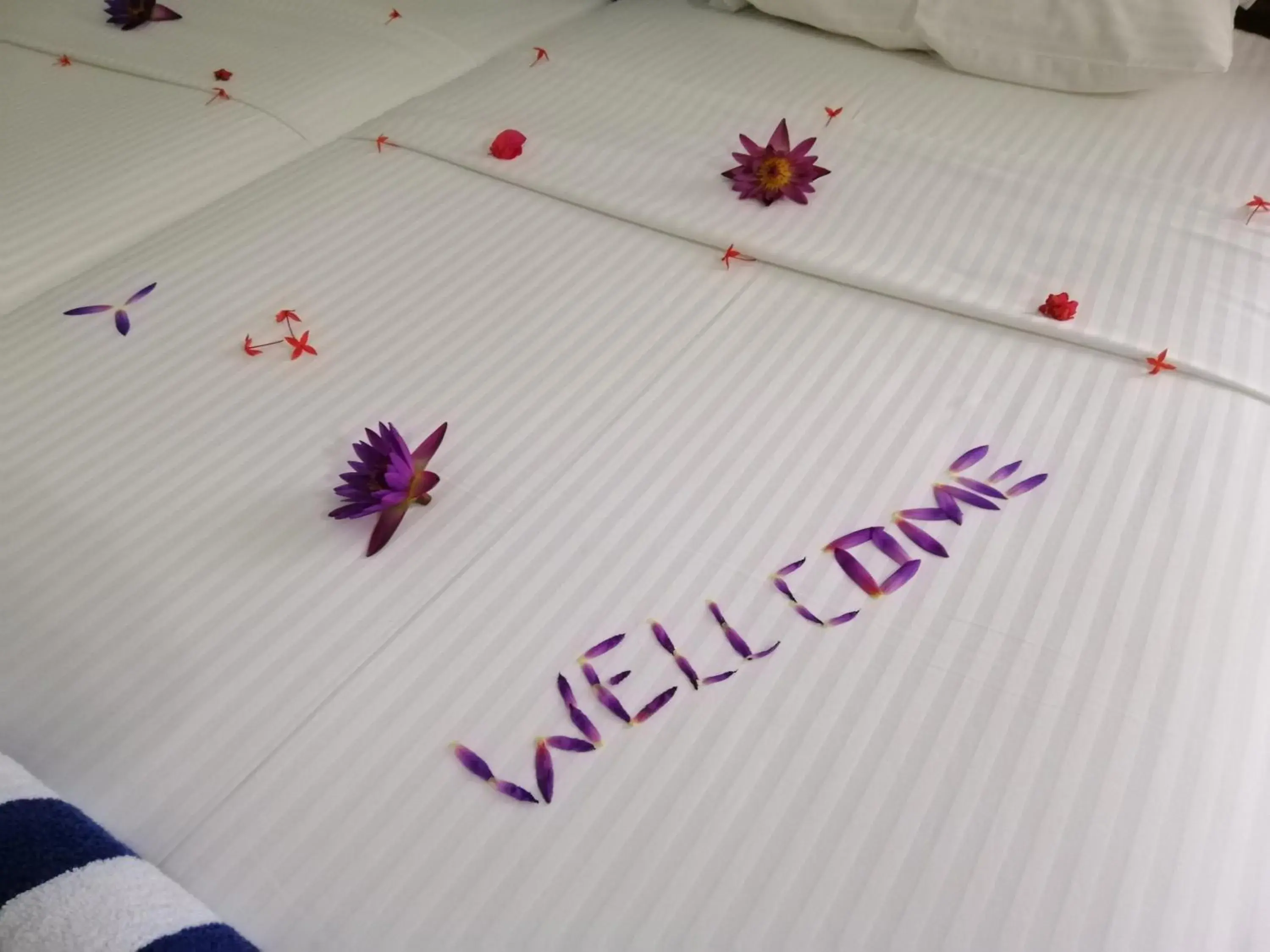 Bed in Methira Villa Bed in Methira Villa