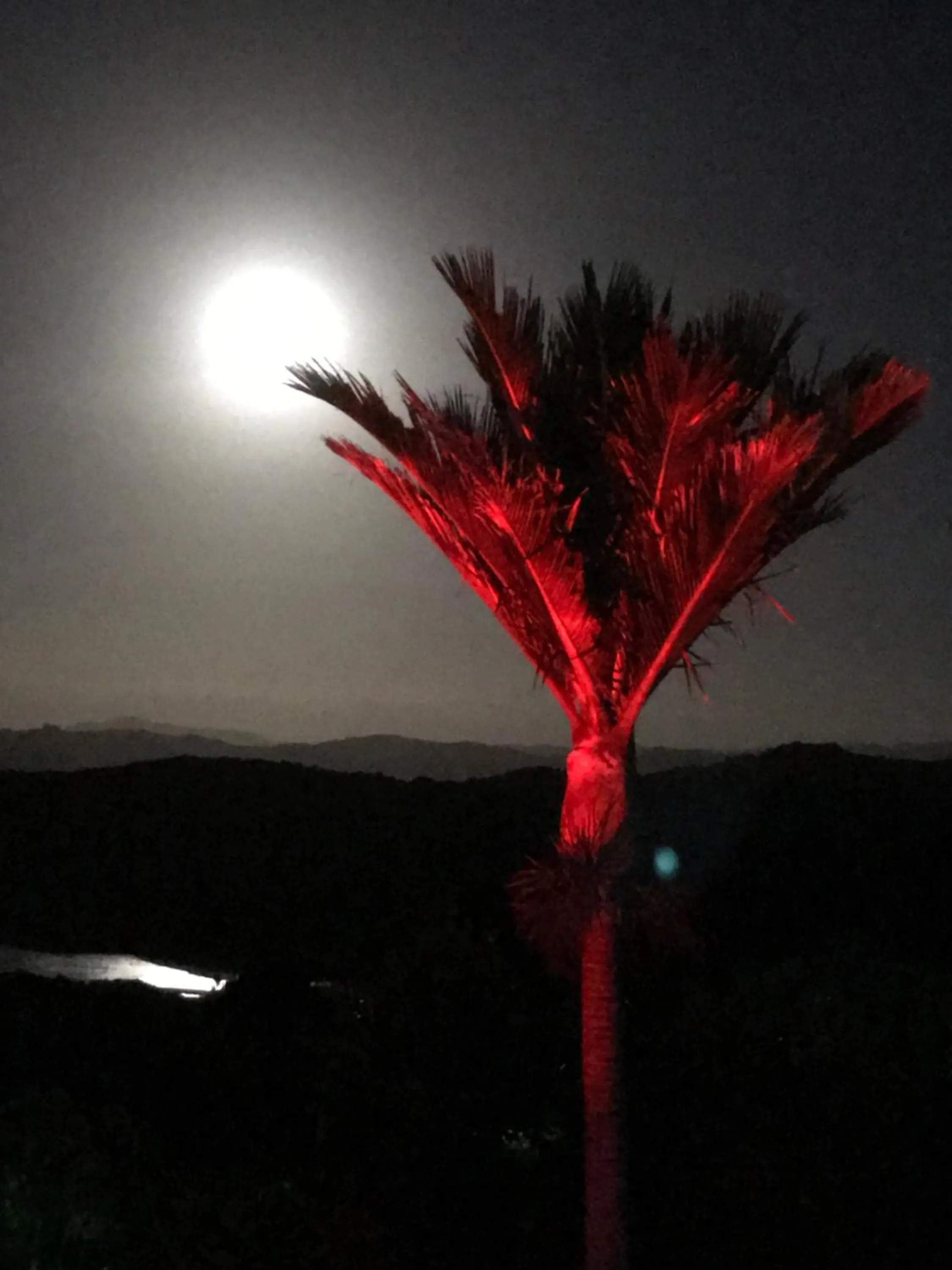 Night in Baywaterviews