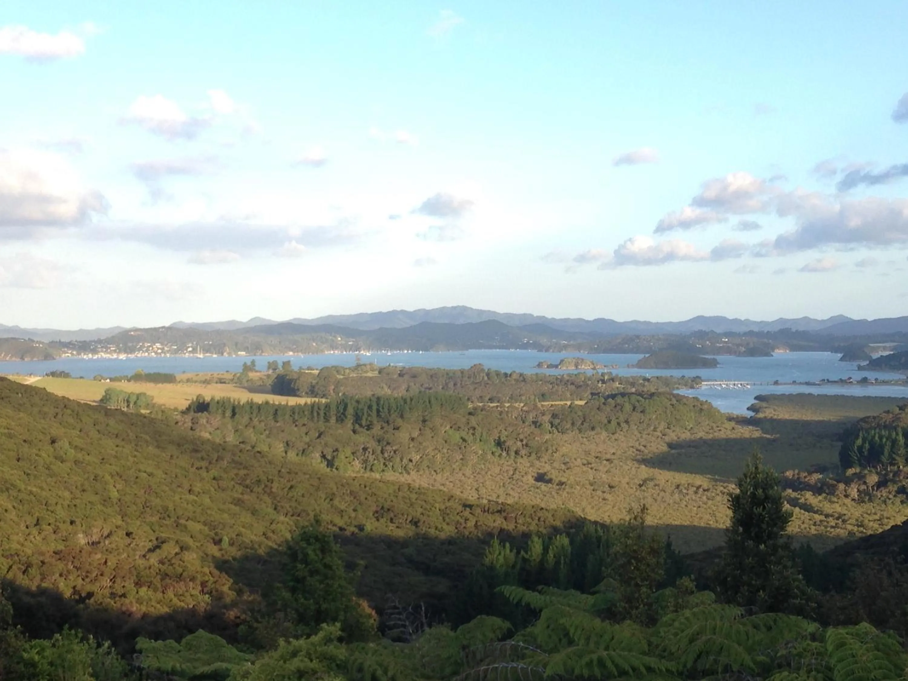 Natural landscape in Baywaterviews