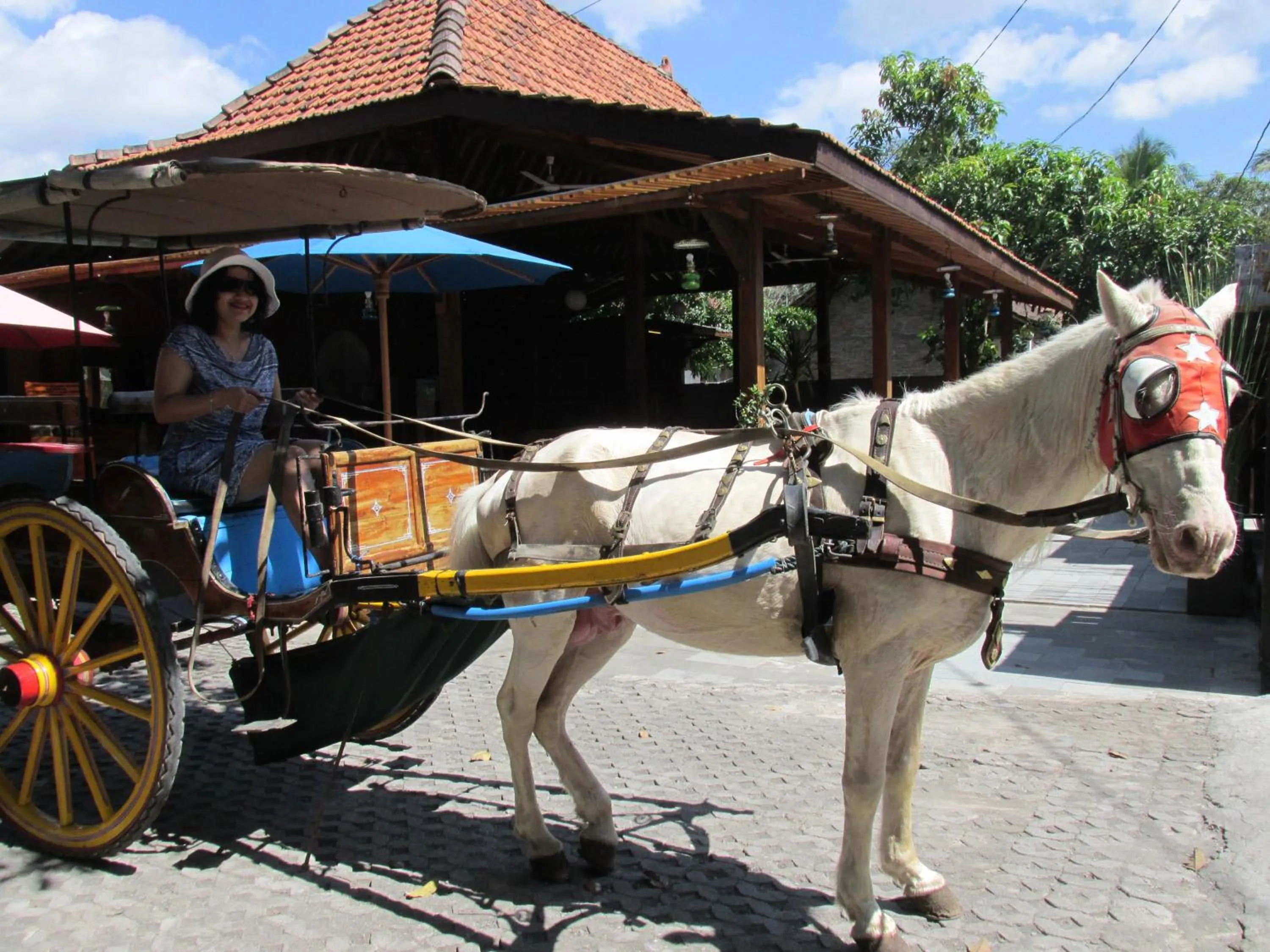 Horse-riding in Cempaka Villa