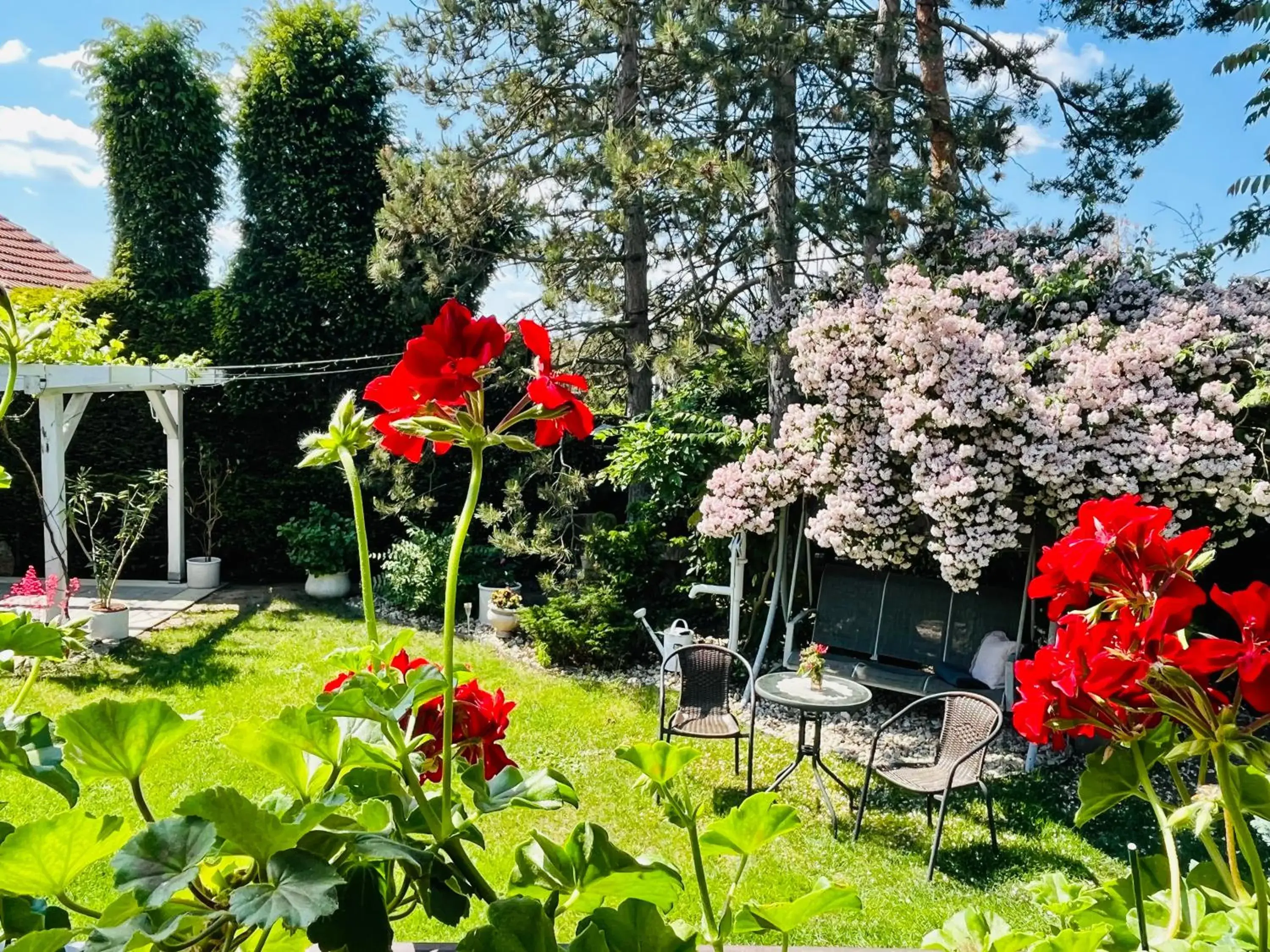 Relaxační studio VERA s UBYTOVÁNÍM Relaxační studio VERA s UBYTOVÁNÍM