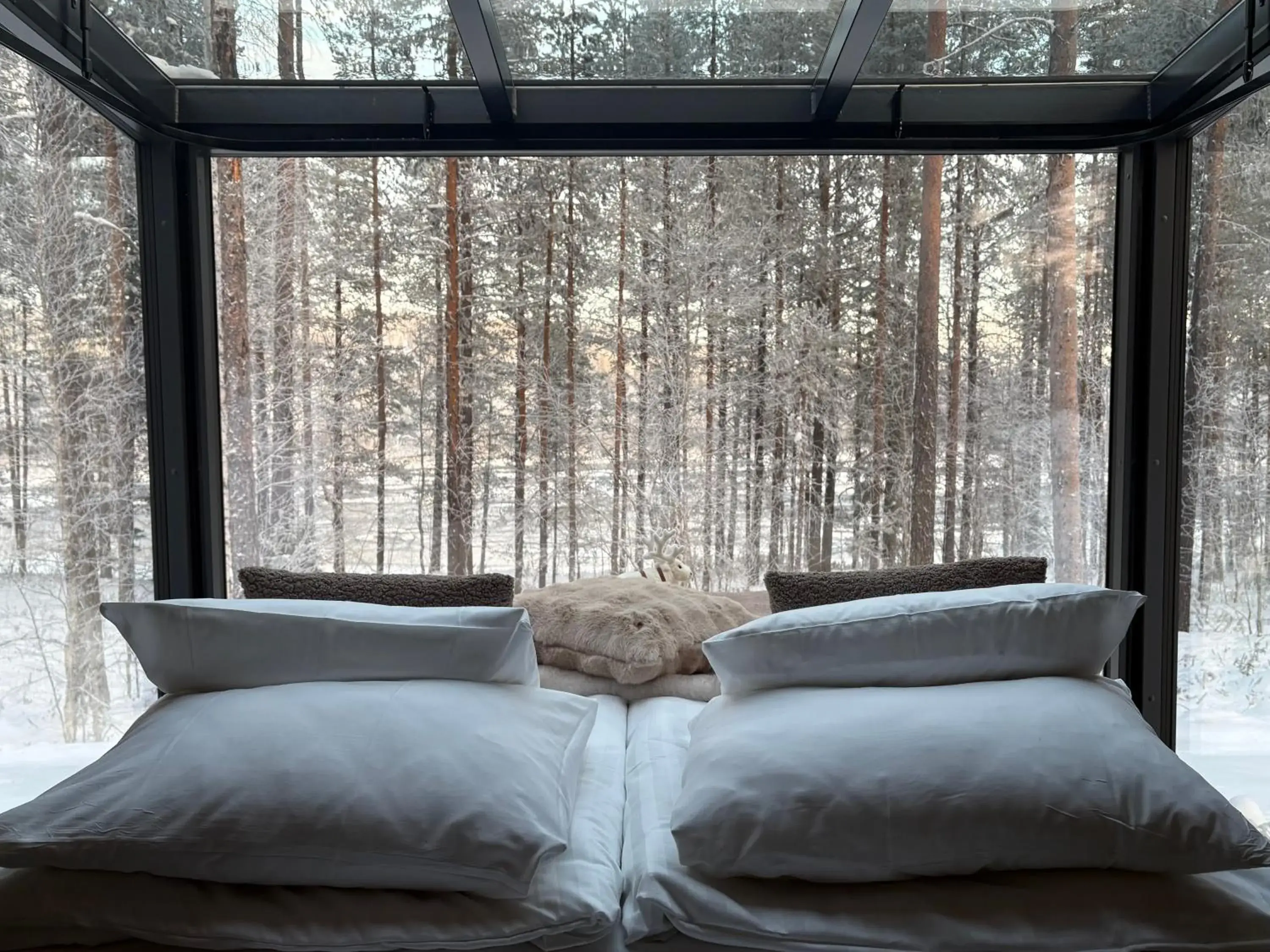 Glass Igloo - single occupancy in Balder Luxury Lodge & Glass Igloos Glass Igloo - single occupancy in Balder Luxury Lodge & Glass Igloos