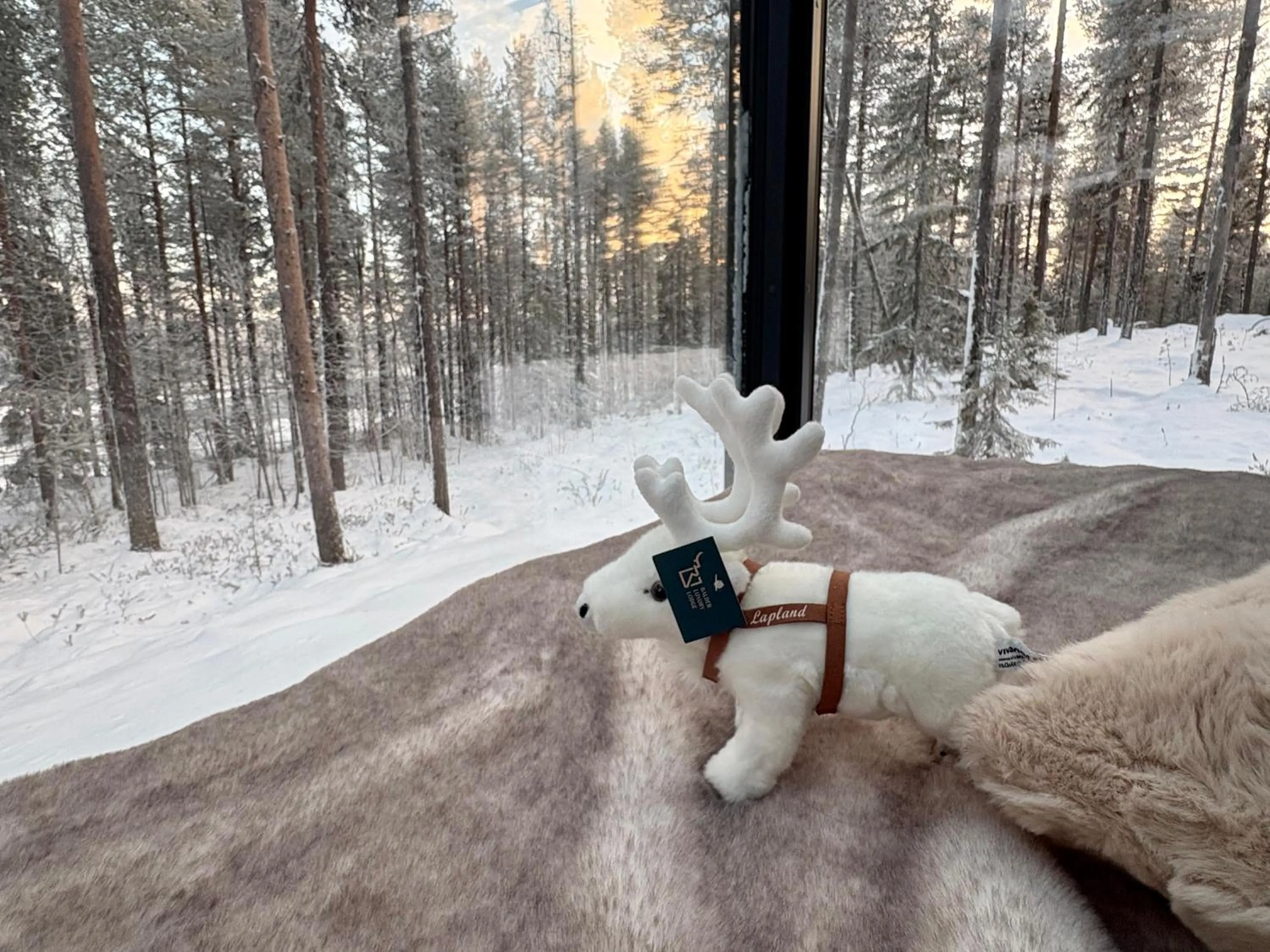 Balder Luxury Lodge & Glass Igloos