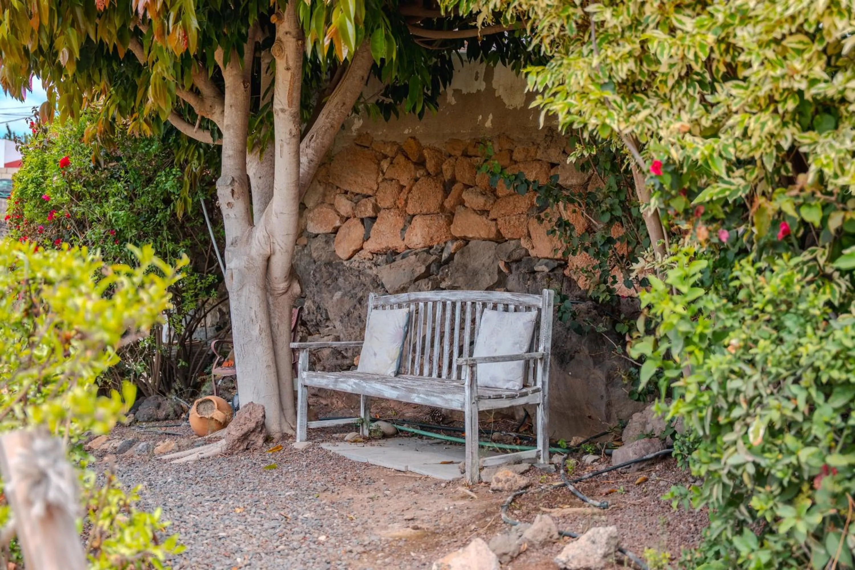 Spring in Jardines de Tamaide