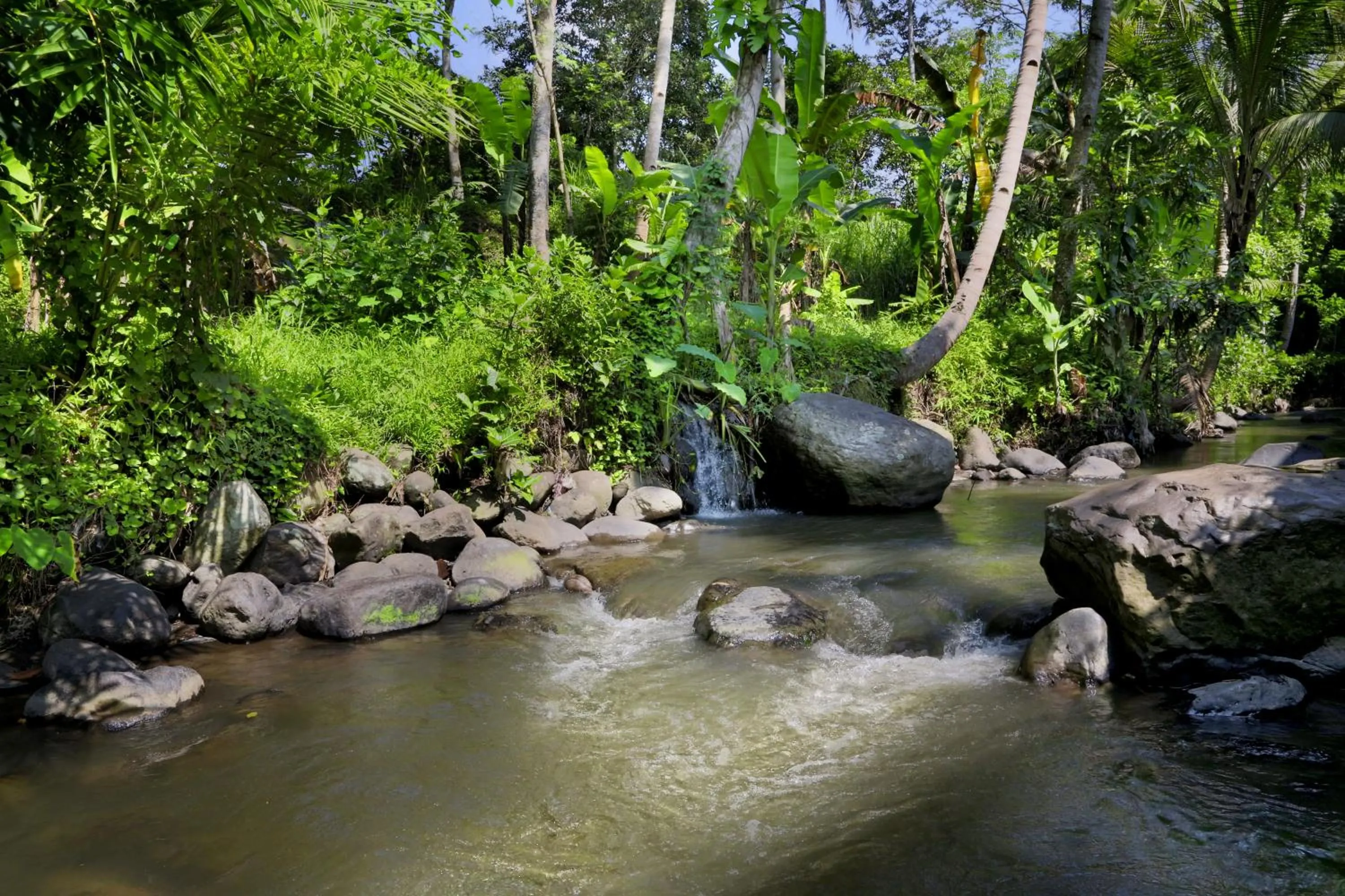 Area and facilities in Amata Borobudur Resort
